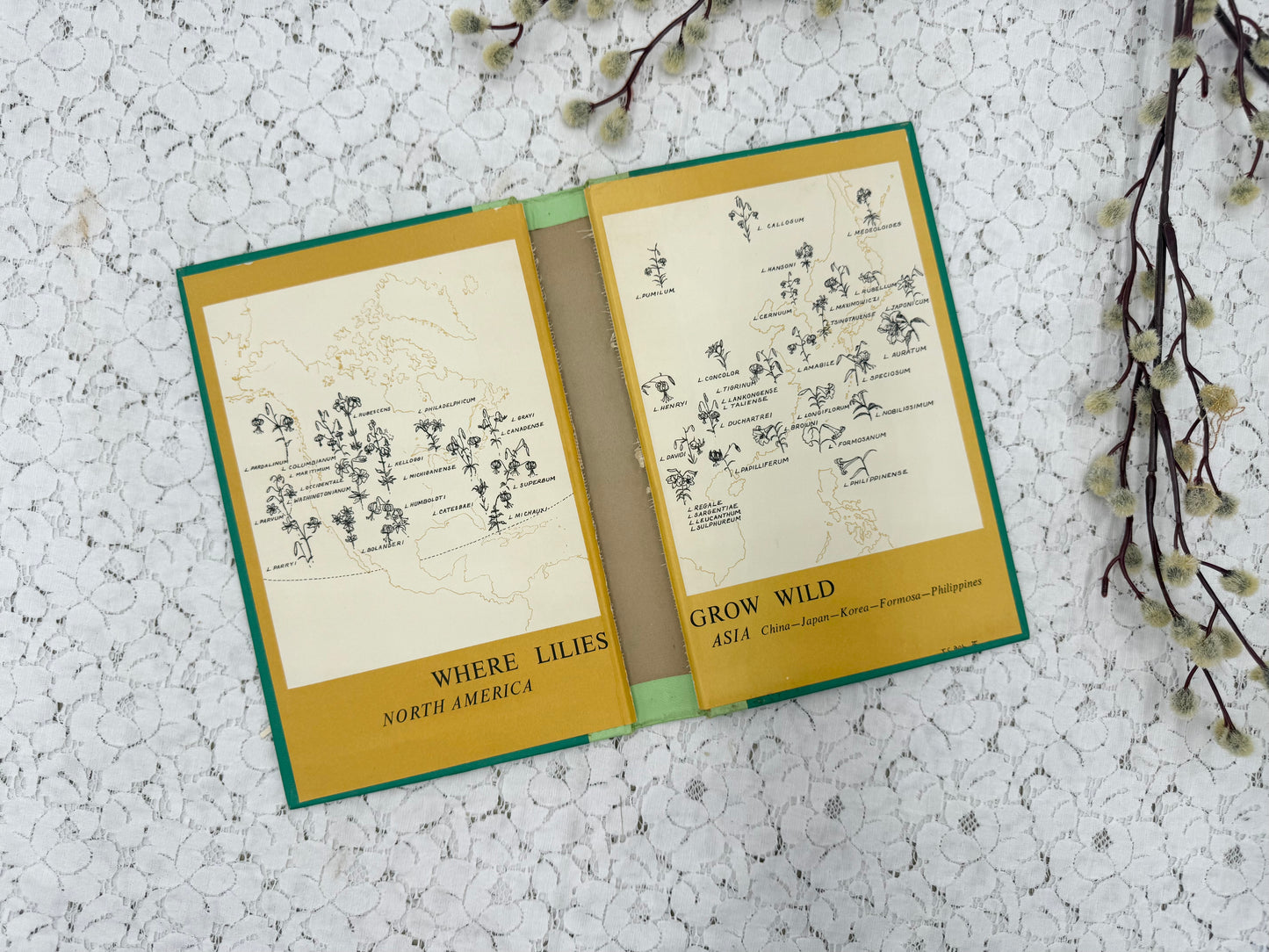 Vintage Book Cover