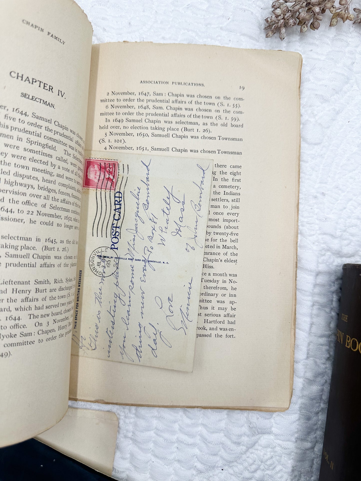 Vintage Genealogy