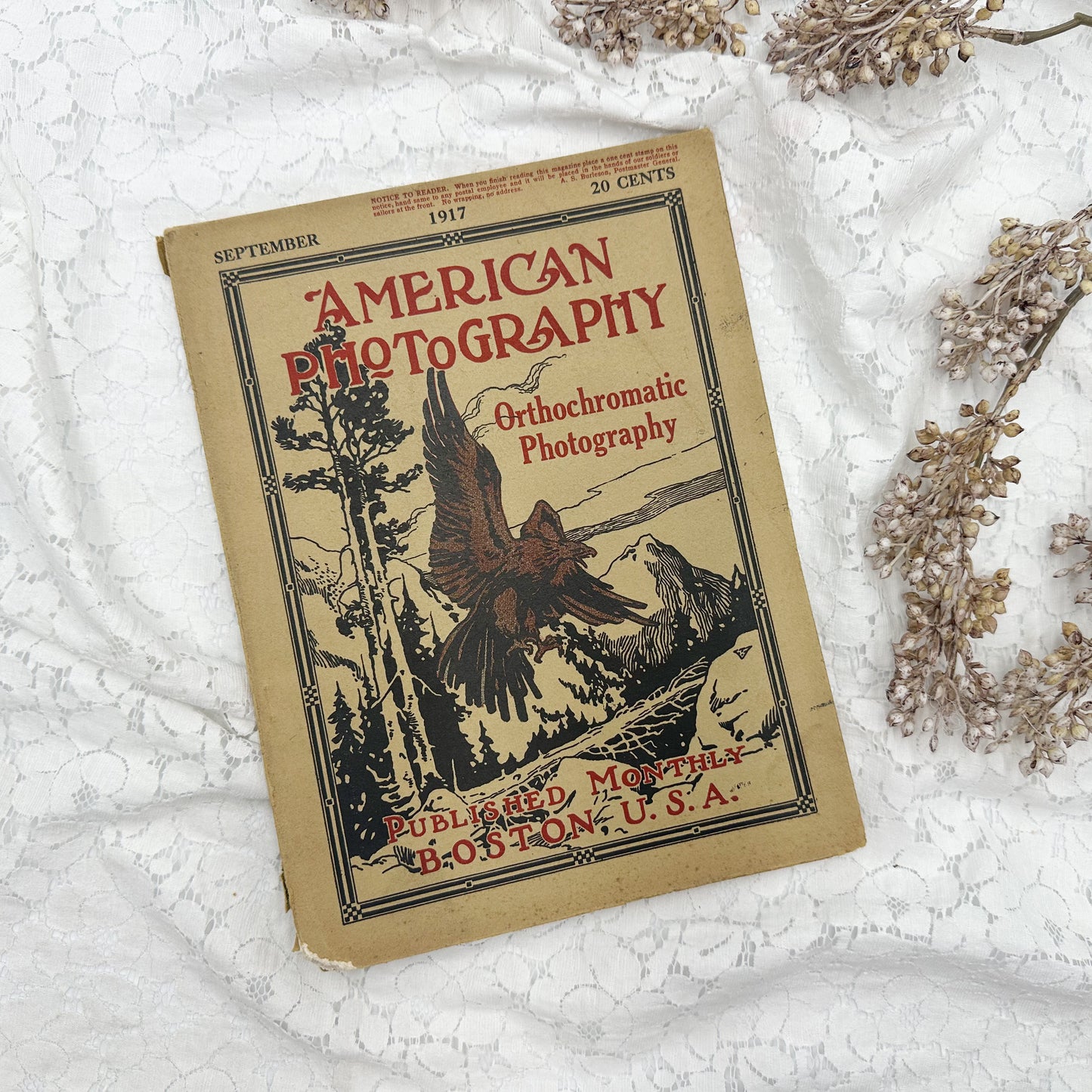 American Photography