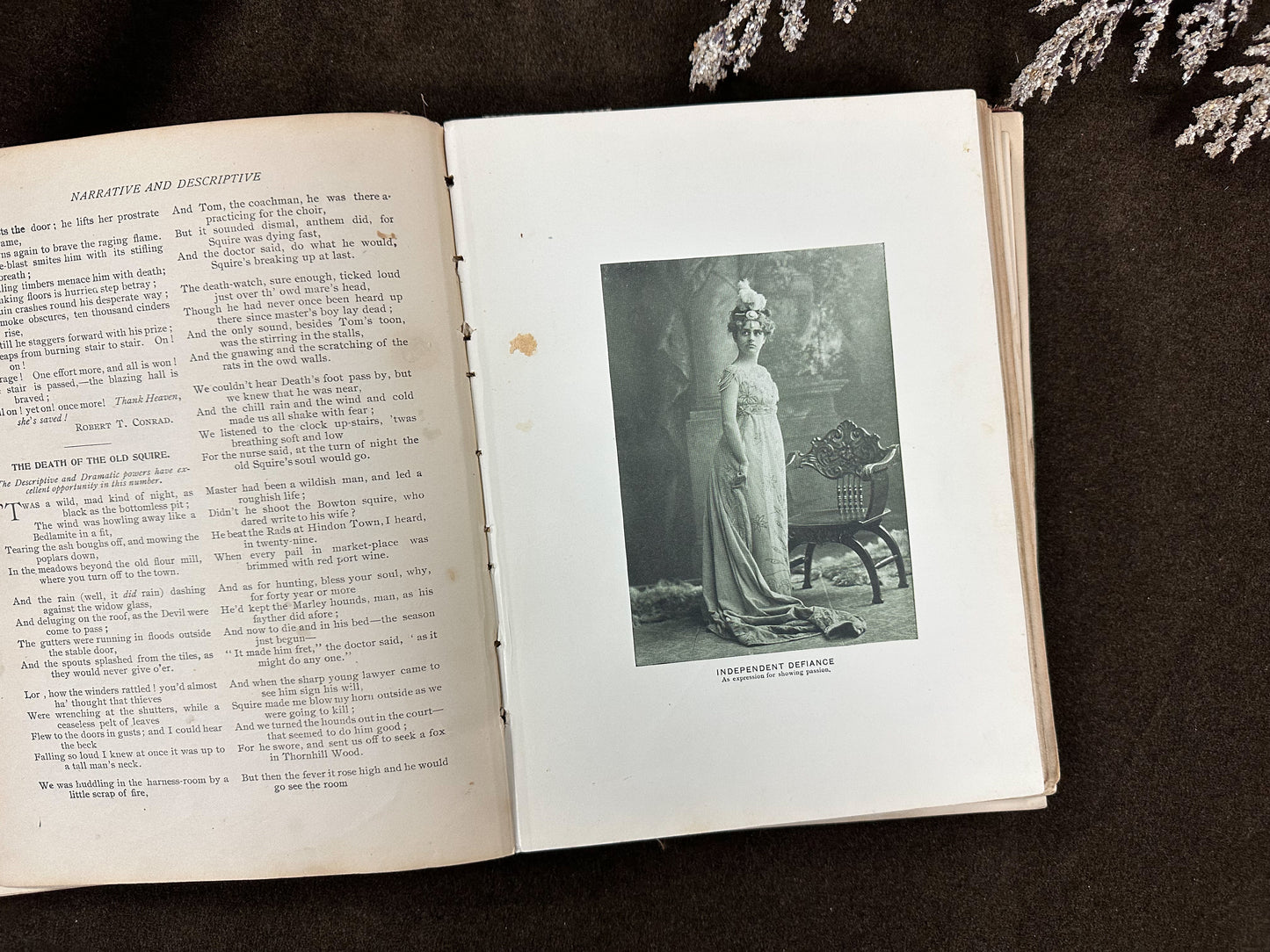 The Ideal Book of Elocution- 1902