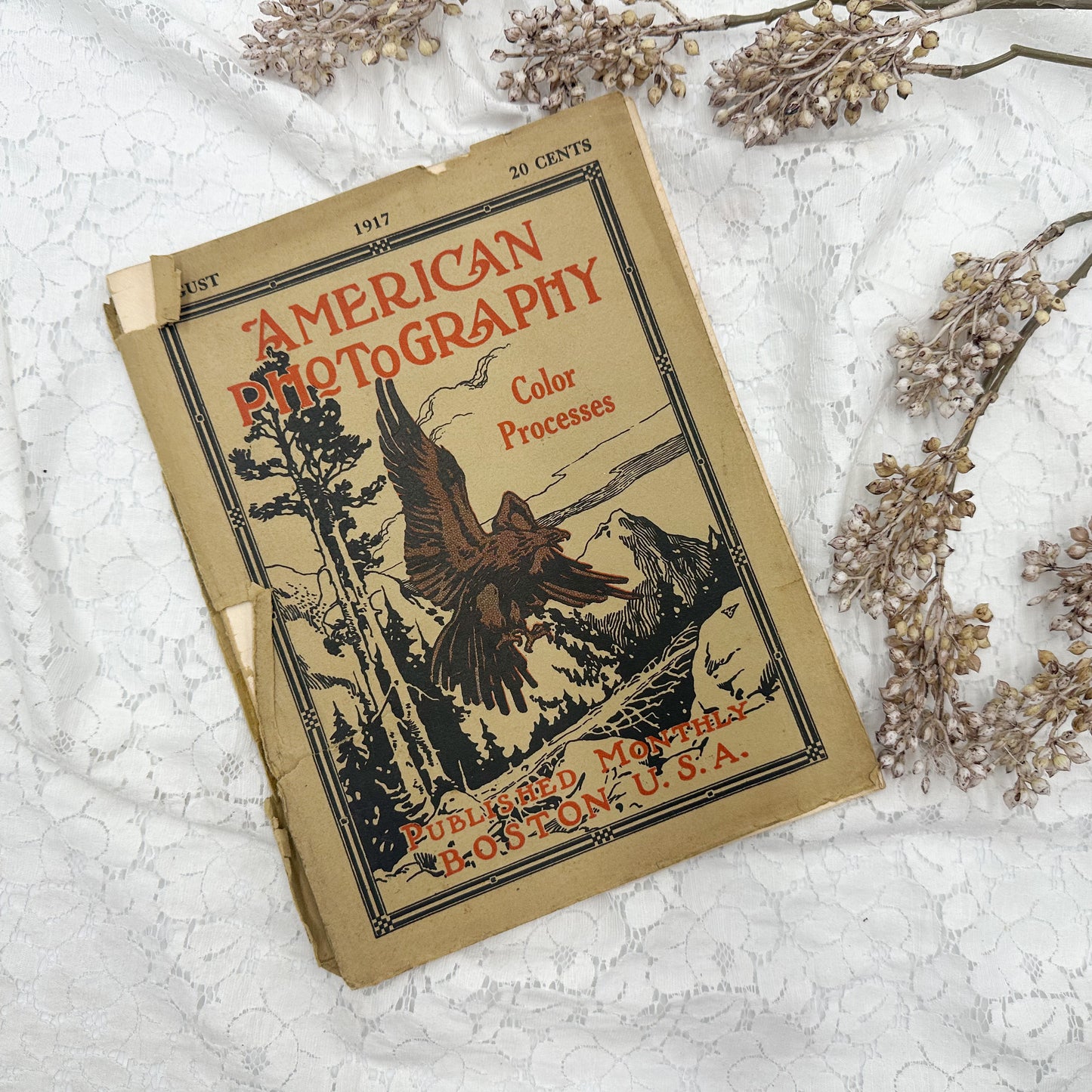 American Photography Magazine