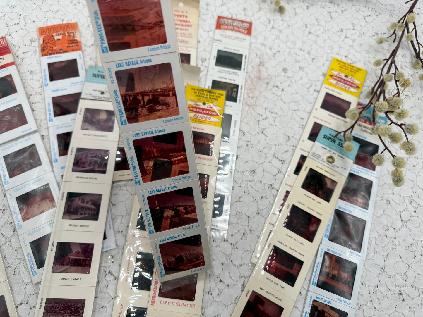 Tourist Slide Packs