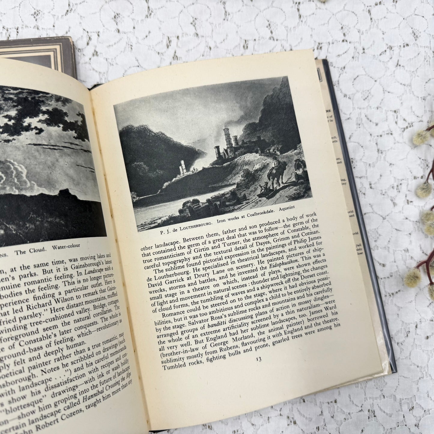 Illustrated Book Set