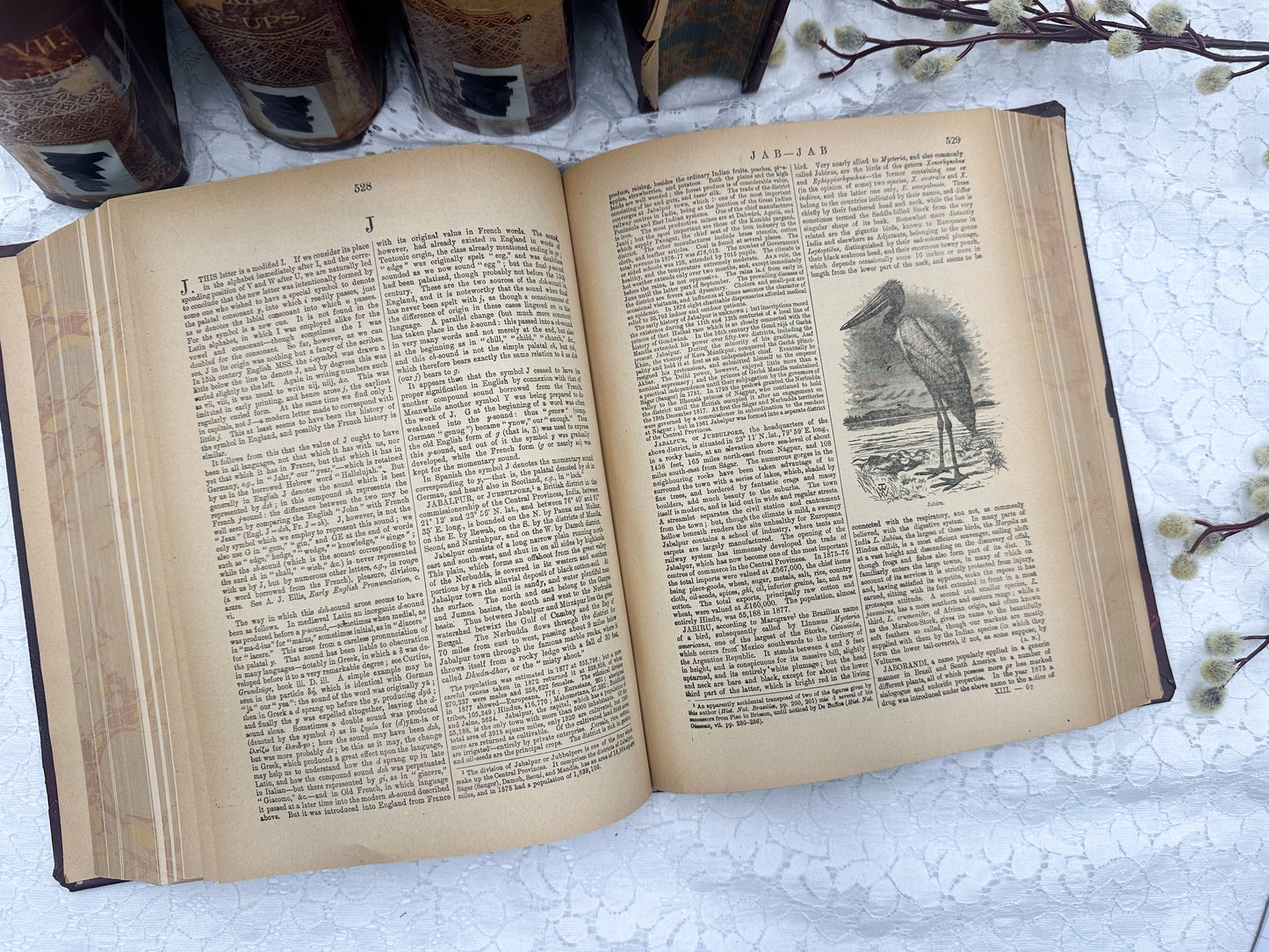 Encyclopedia Britannica Book