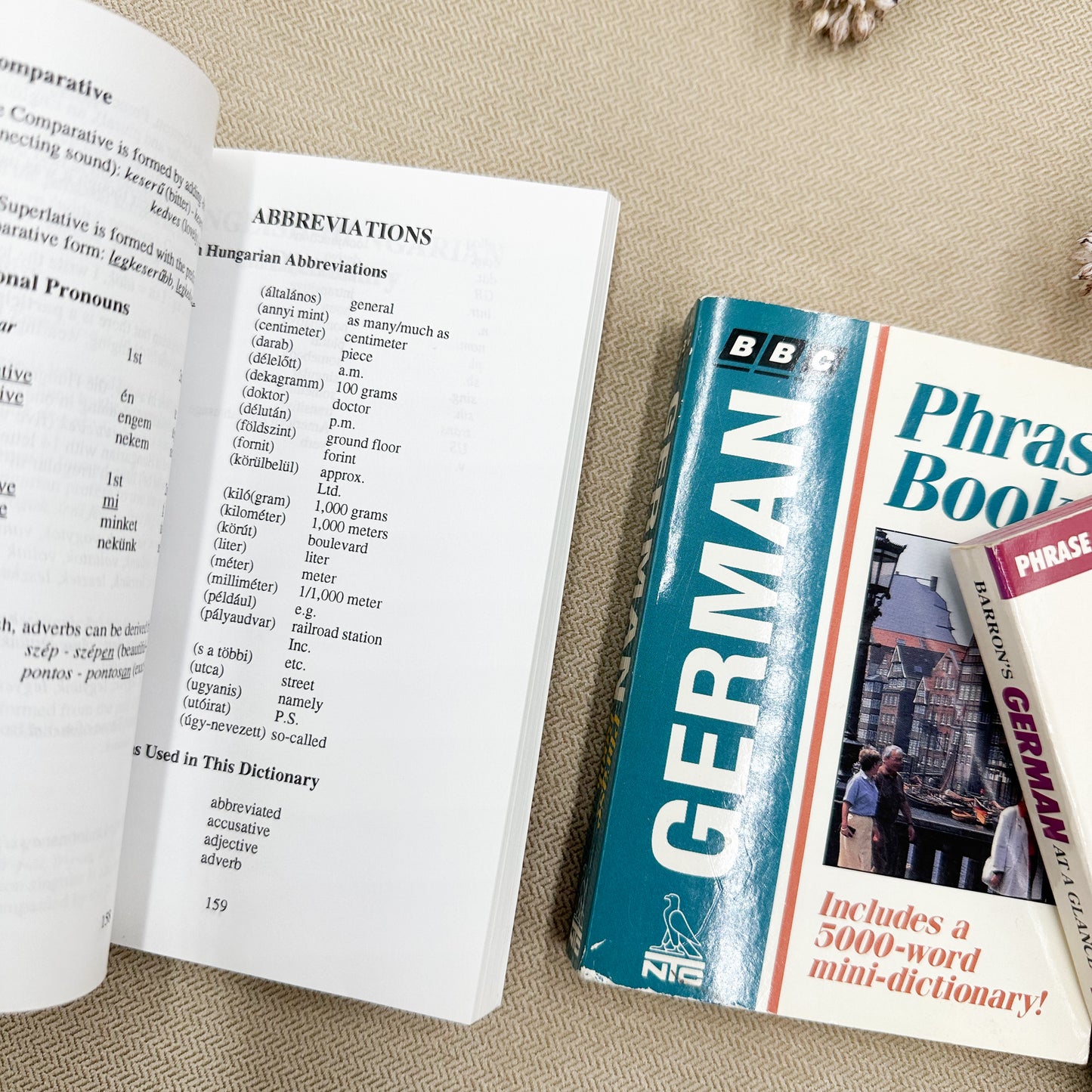 Set of Foreign Language Books (set of 3)