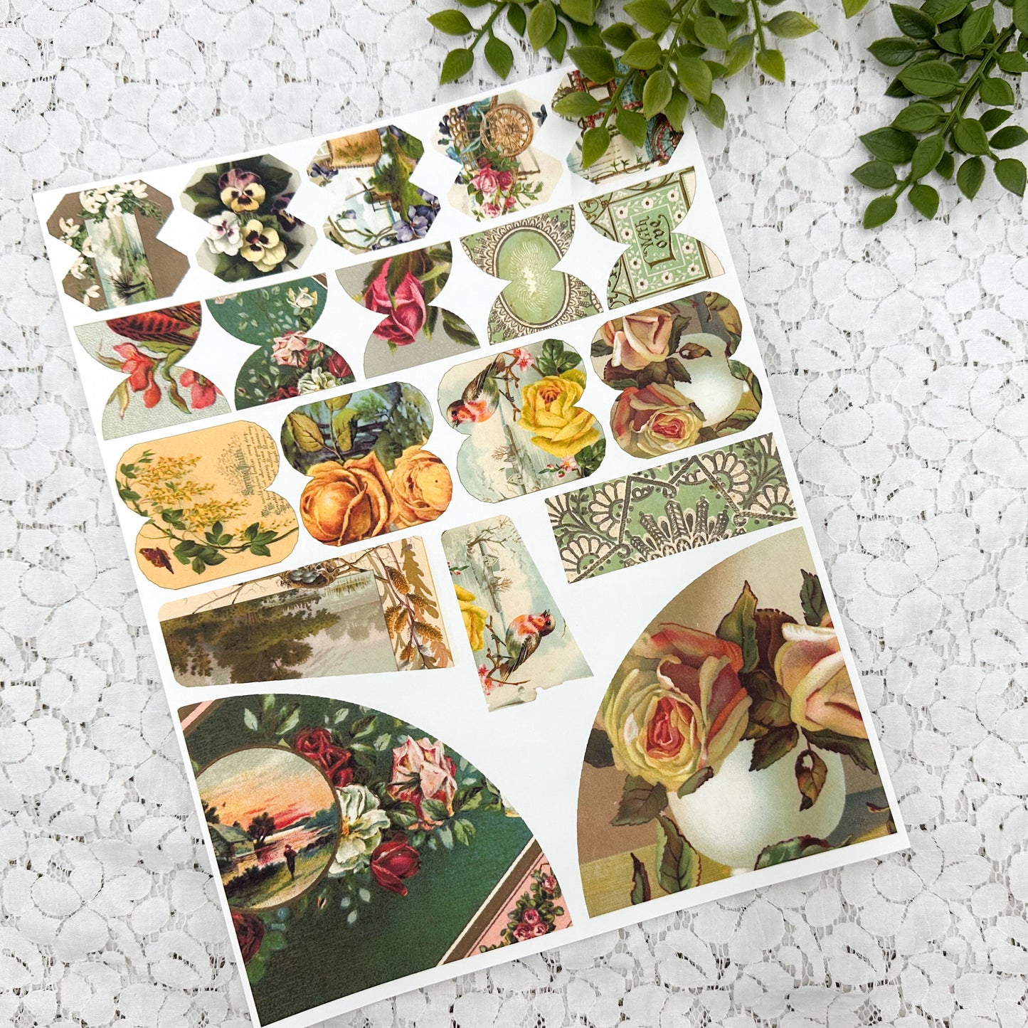 Postcard Two- Paper Packs