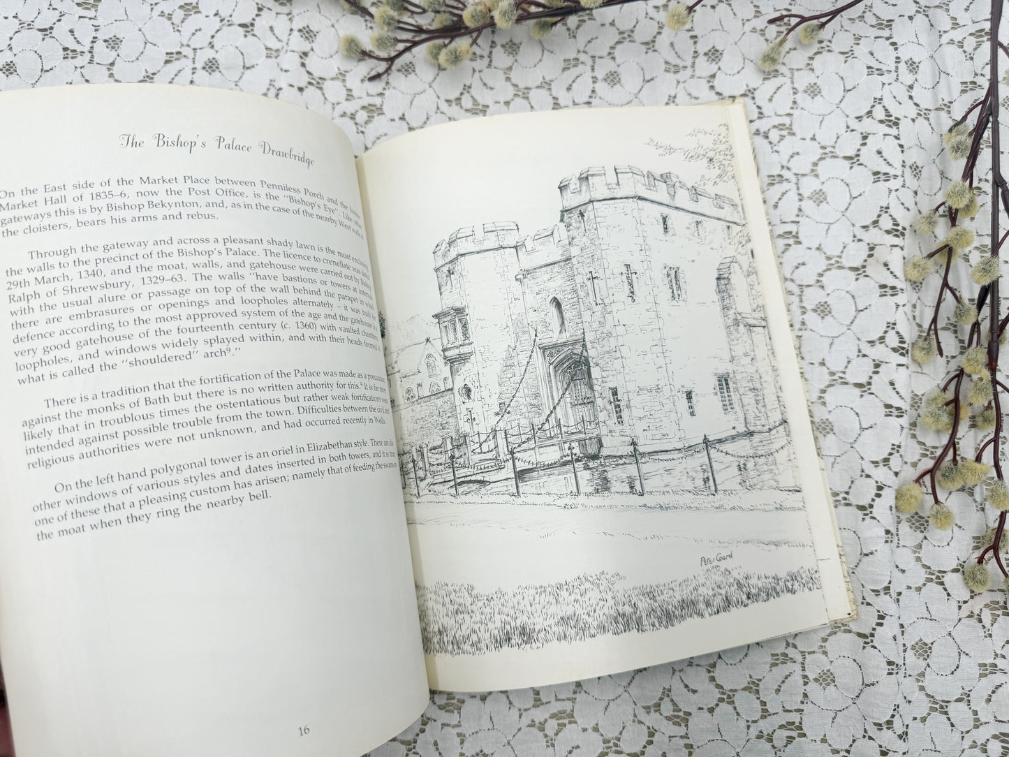 Portraits of Gastonbury and Wells