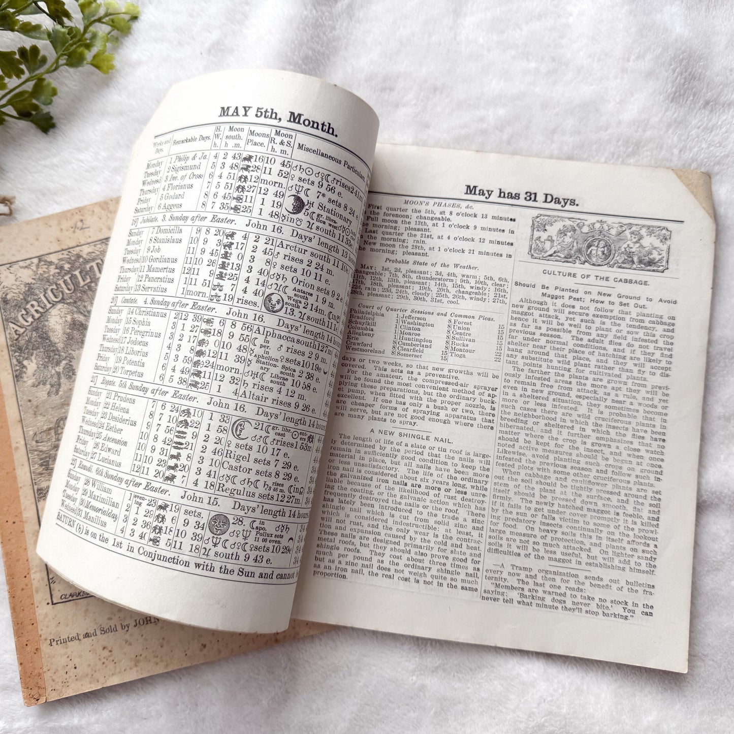 Vintage Almanac Set