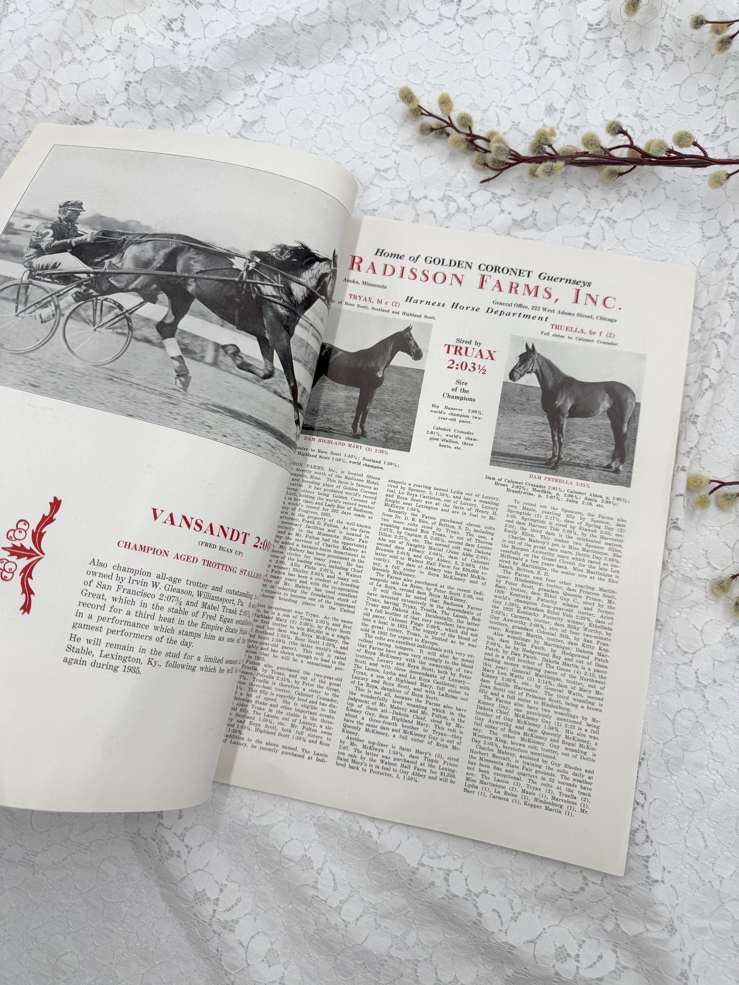 Vintage Horseman Magazine
