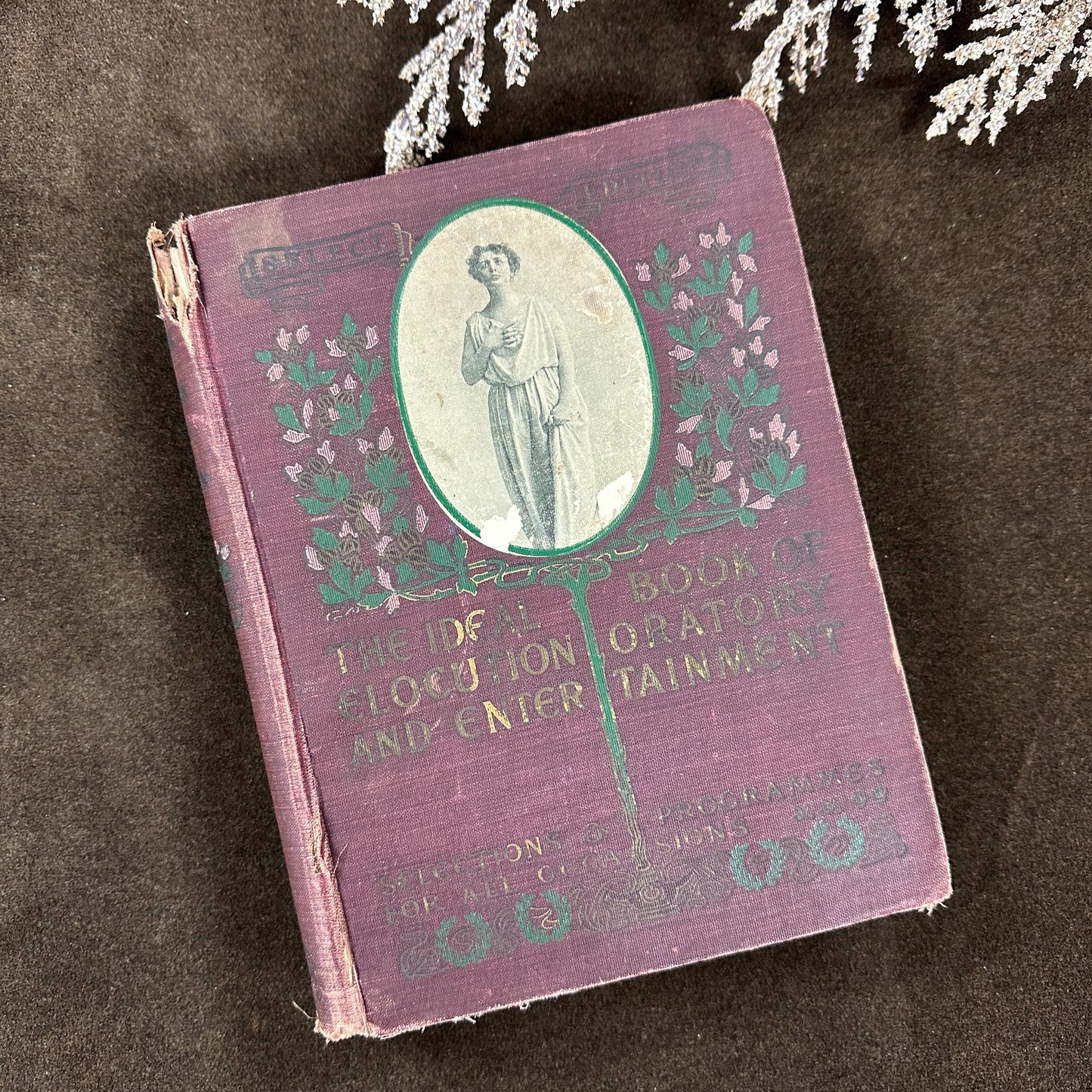 The Ideal Book of Elocution- 1902