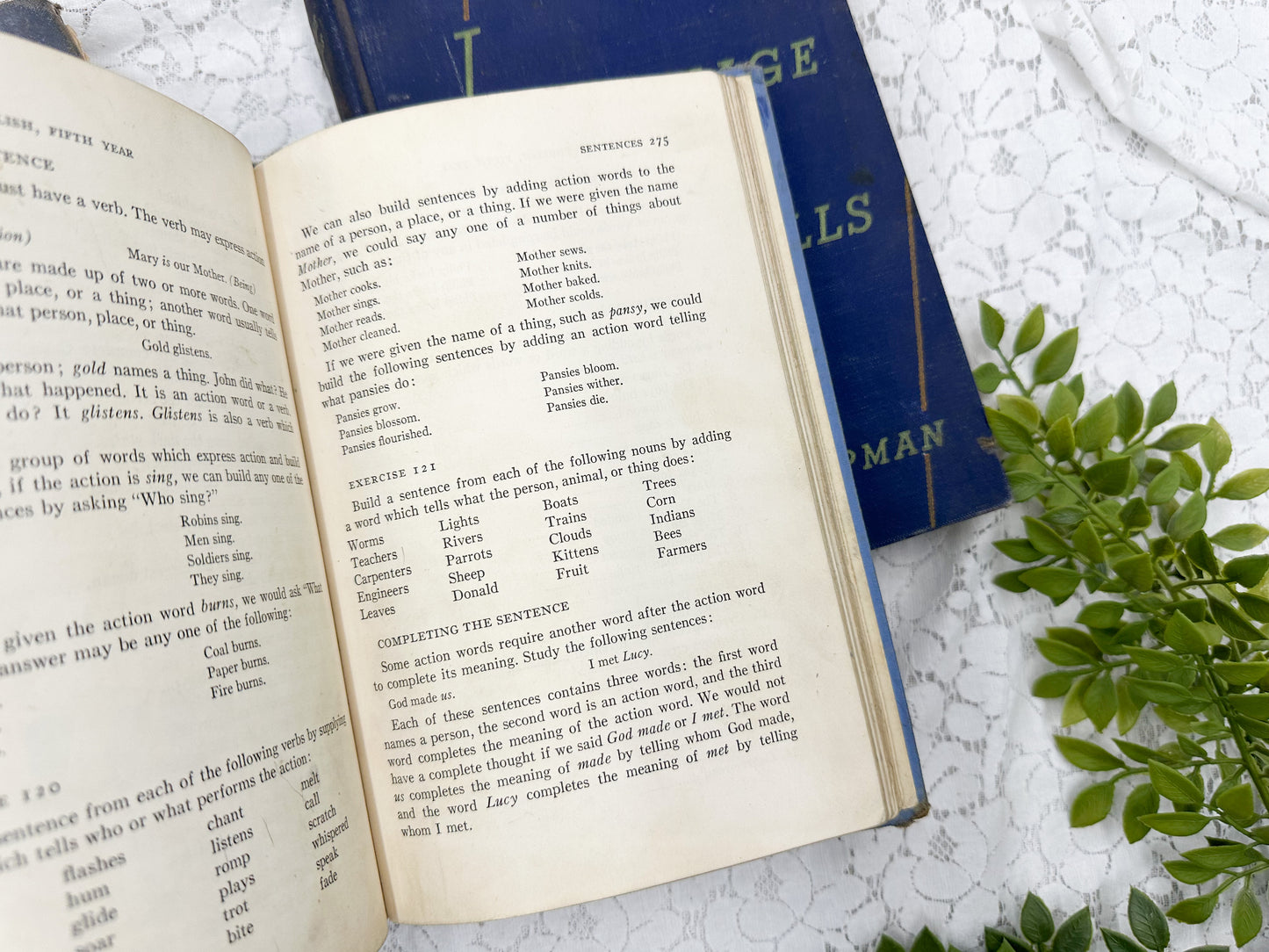 Vintage Textbooks (Set of 3)