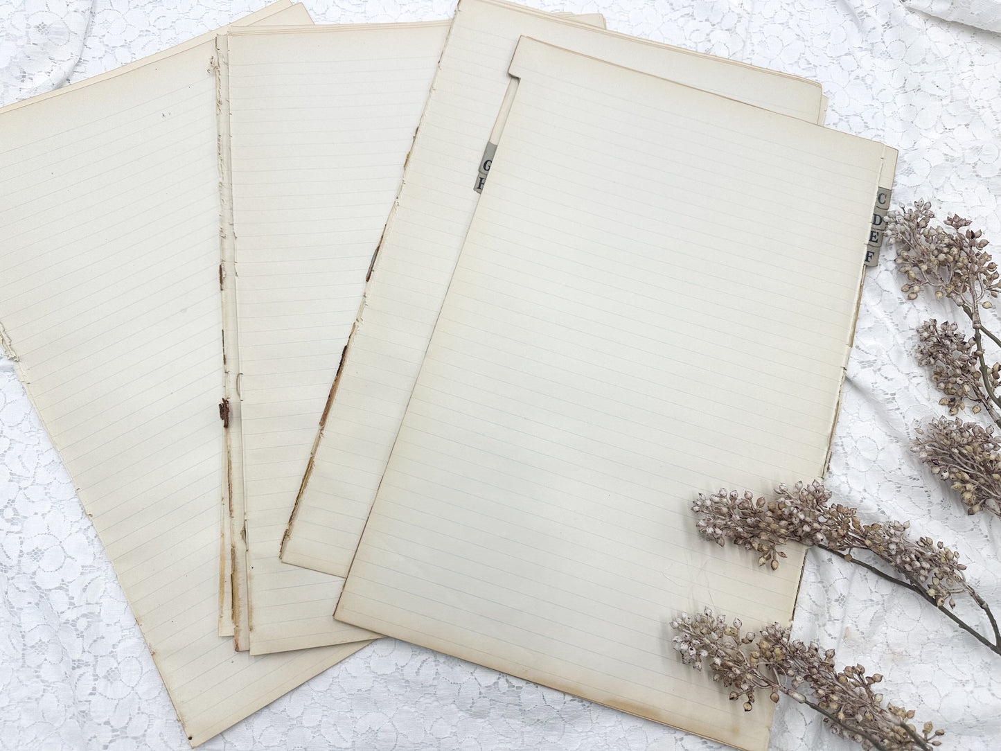 Vintage Ledger Page Pack (Set of 5)