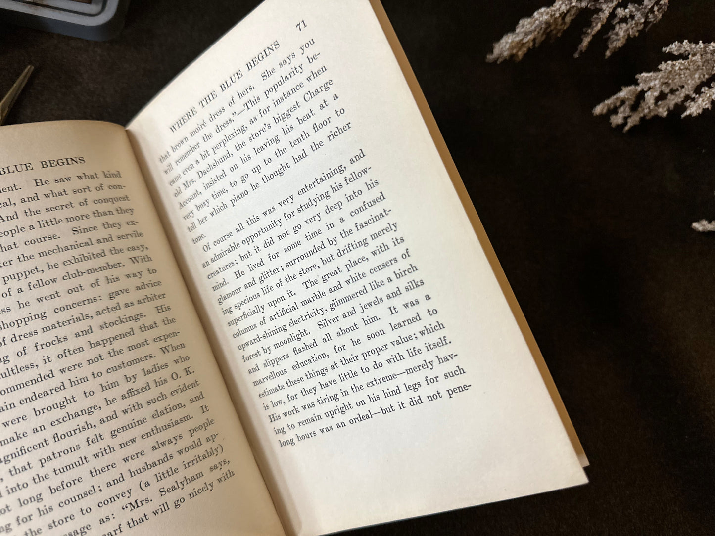 Beautiful Vintage Book