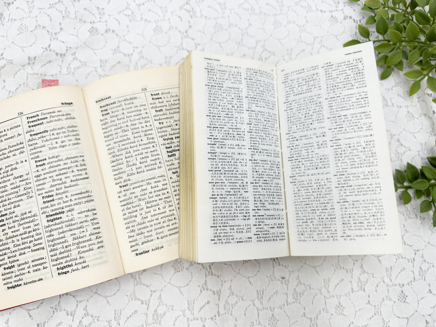 Foreign Language Dictionary Set