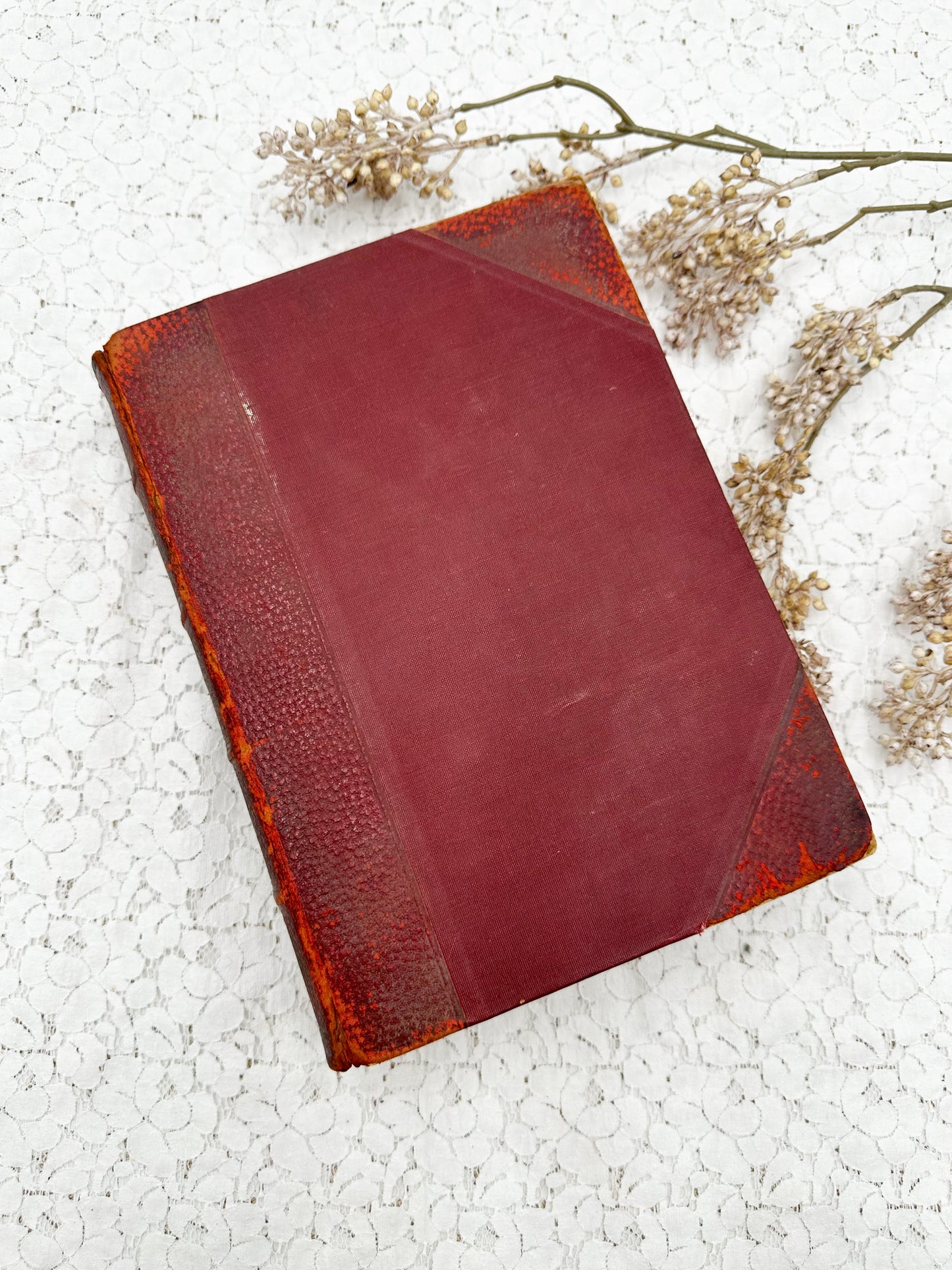 Encyclopedia of Biography