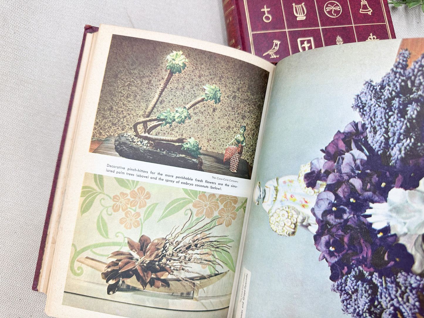 Full Color Encyclopedia