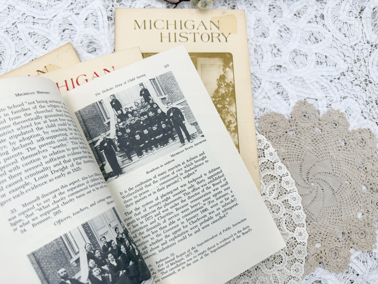 Michigan History Books