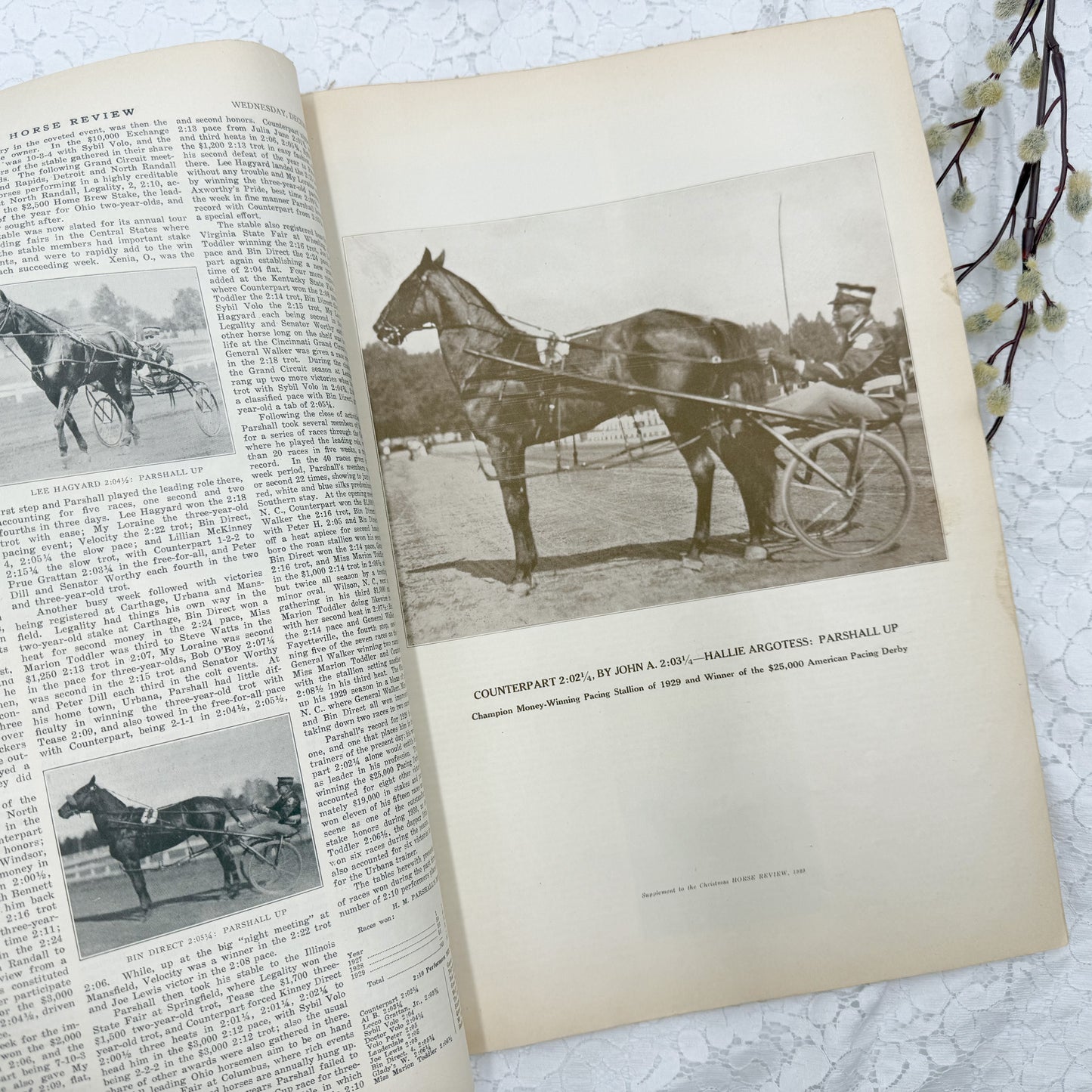 Vintage Horseman Magazine