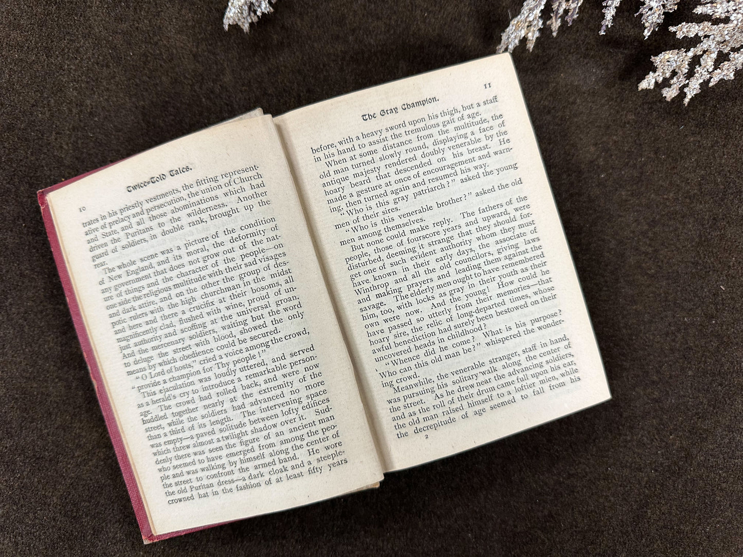 Twice Told Tales- 1893