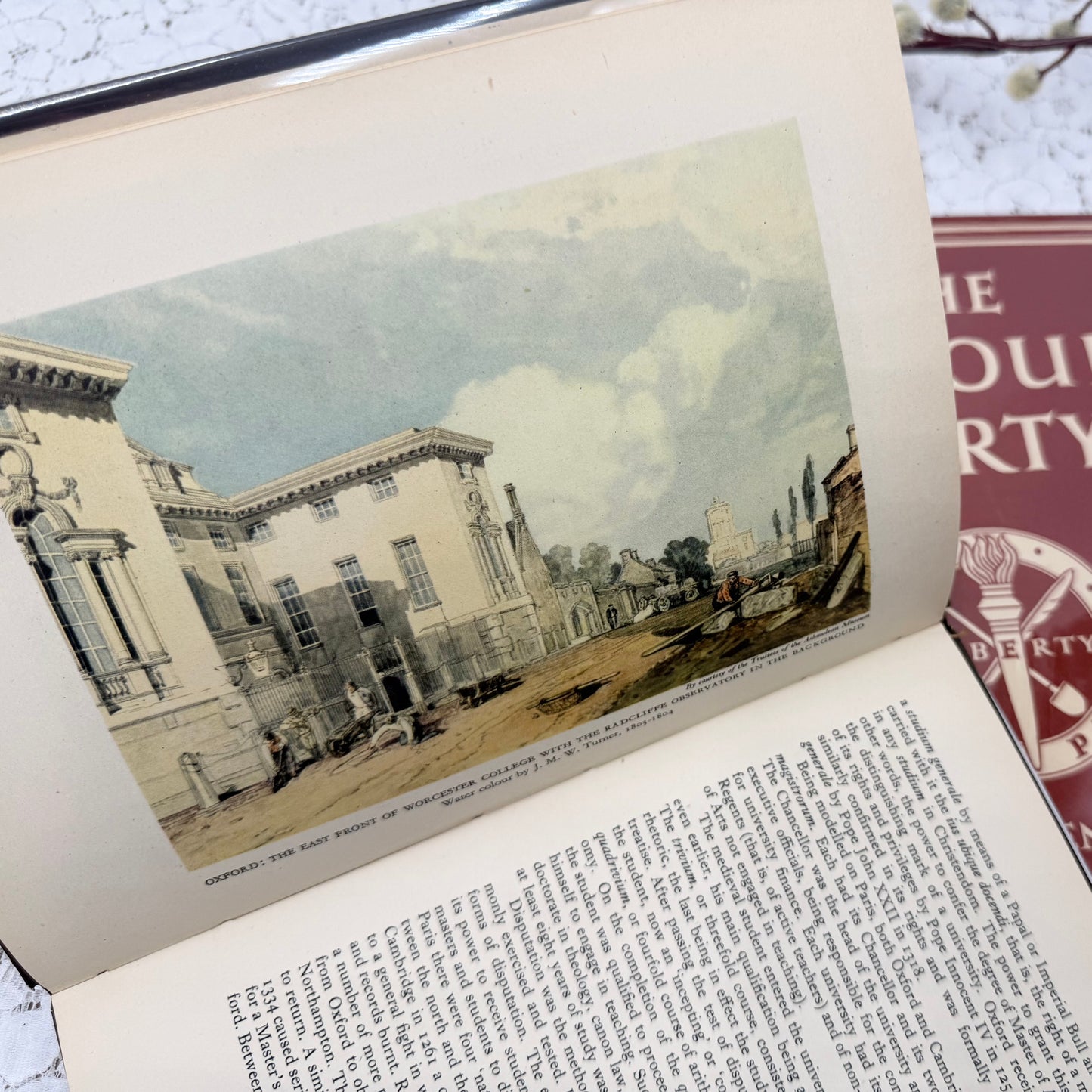 Illustrated Book Set