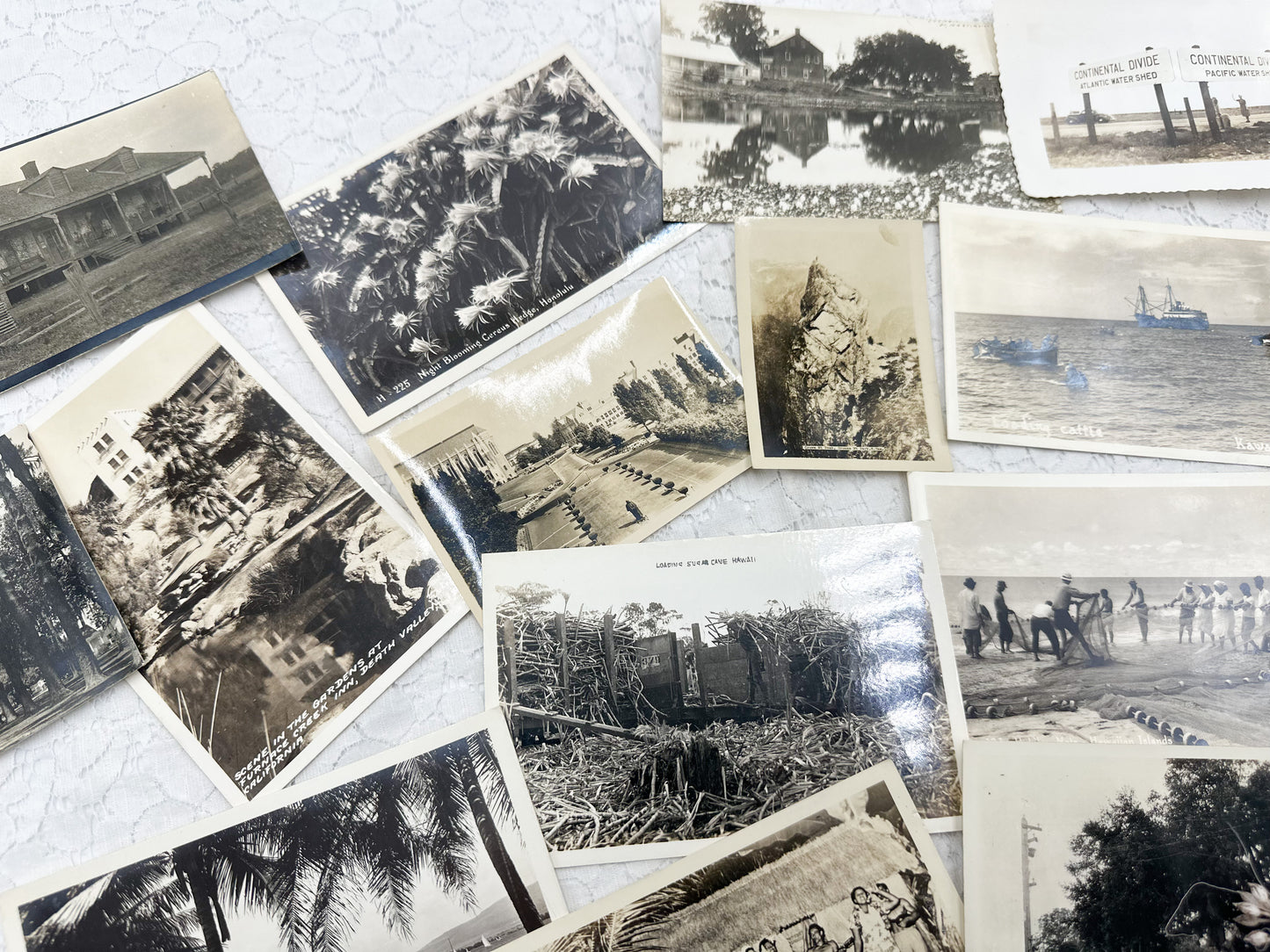 Set of Vintage Postcards and Photos