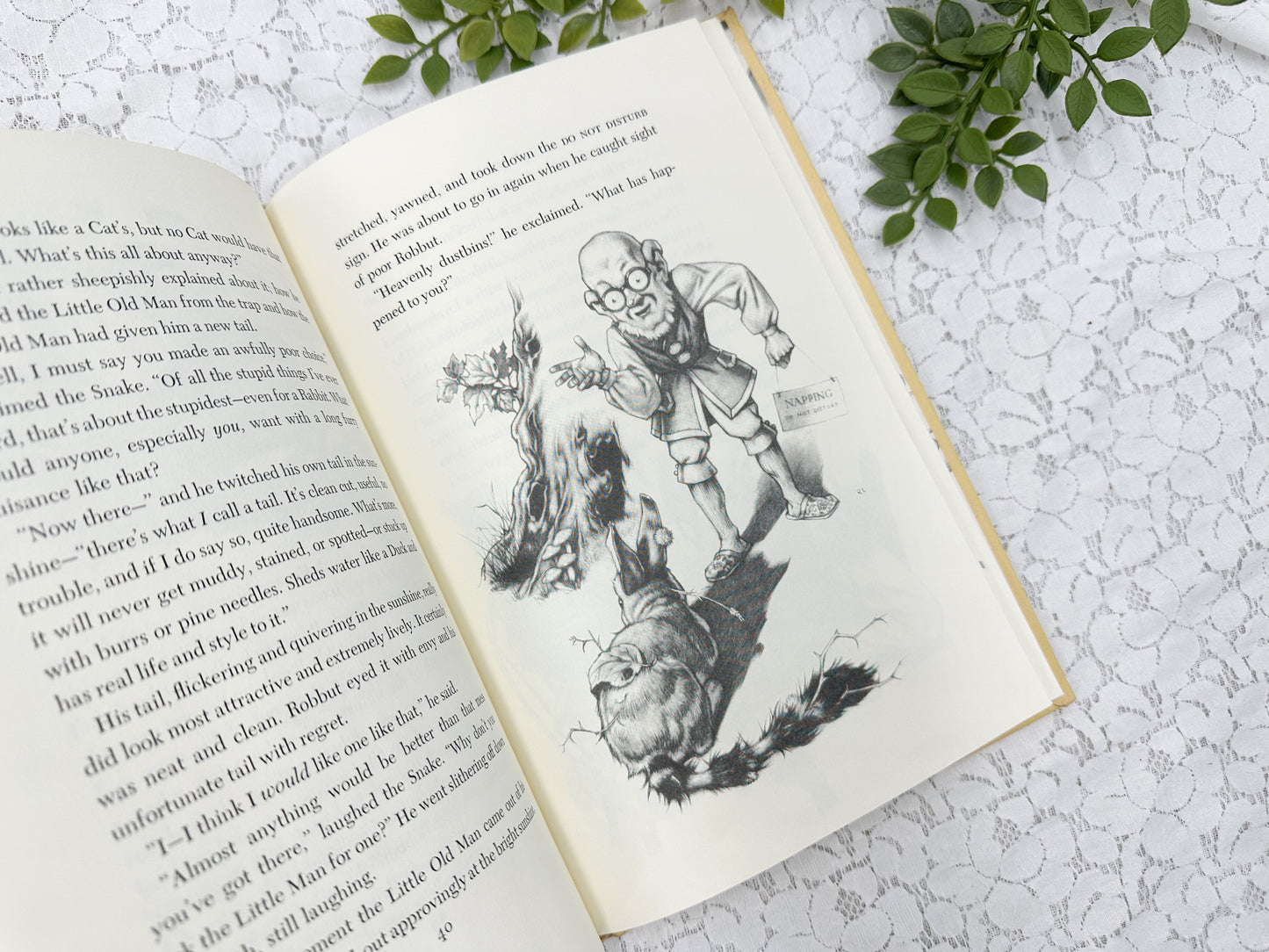 Robbut Book