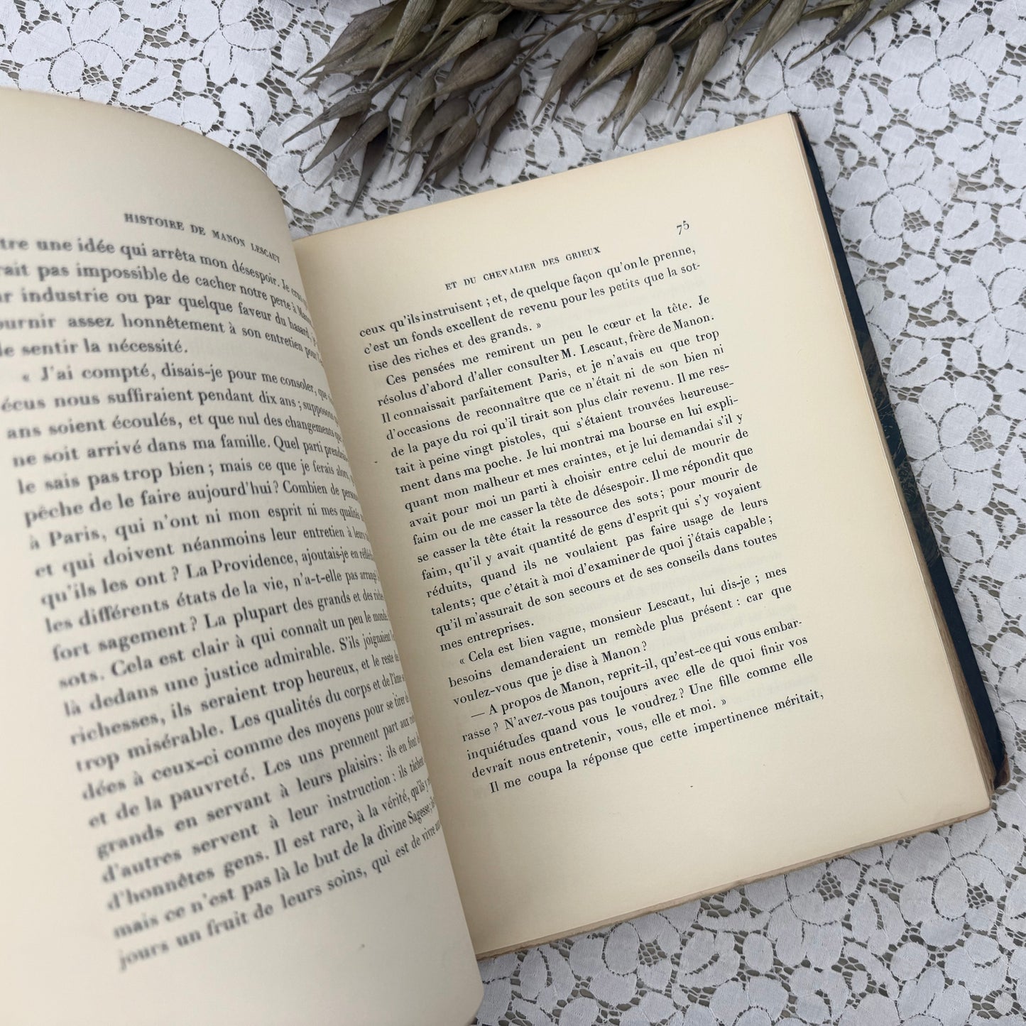 Vintage Book with Illustrations