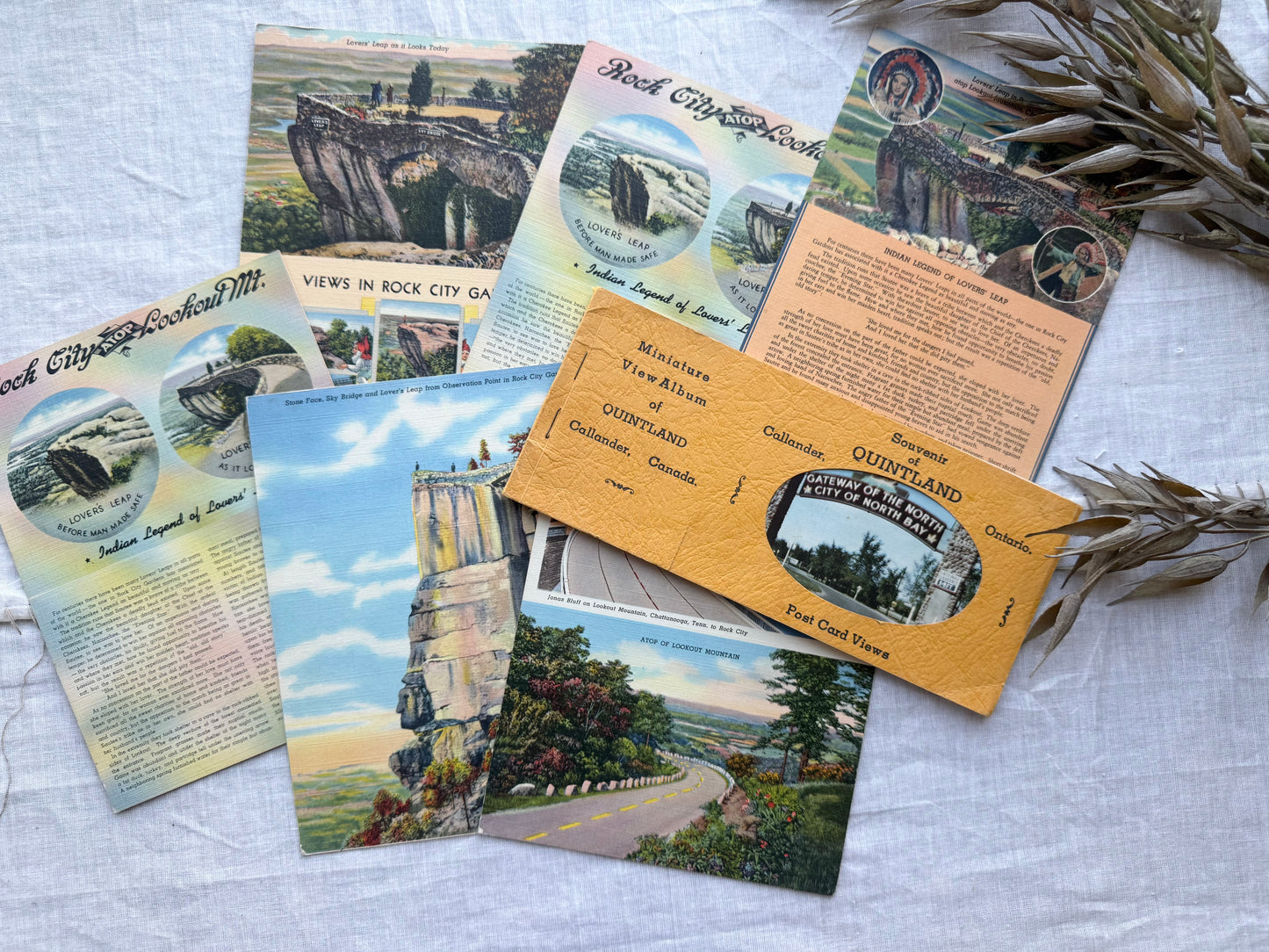 Vintage Postcard Set