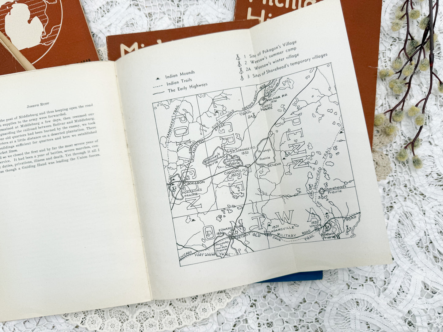 Michigan History Books