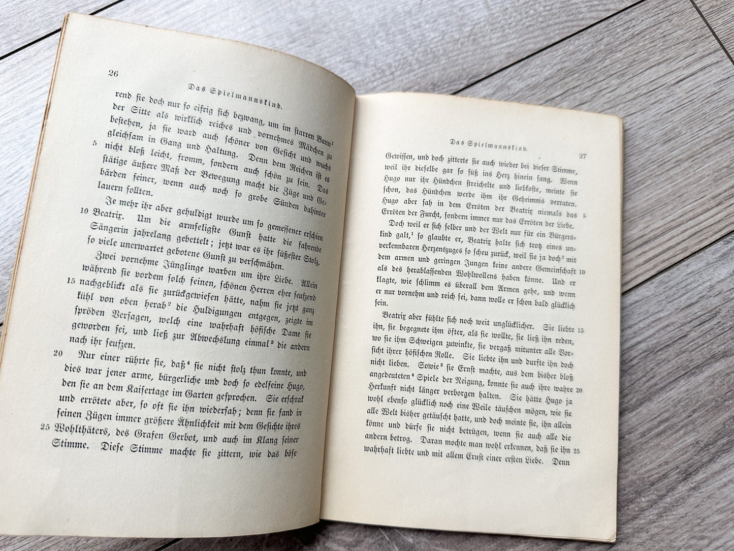 Vintage Foreign Language Book