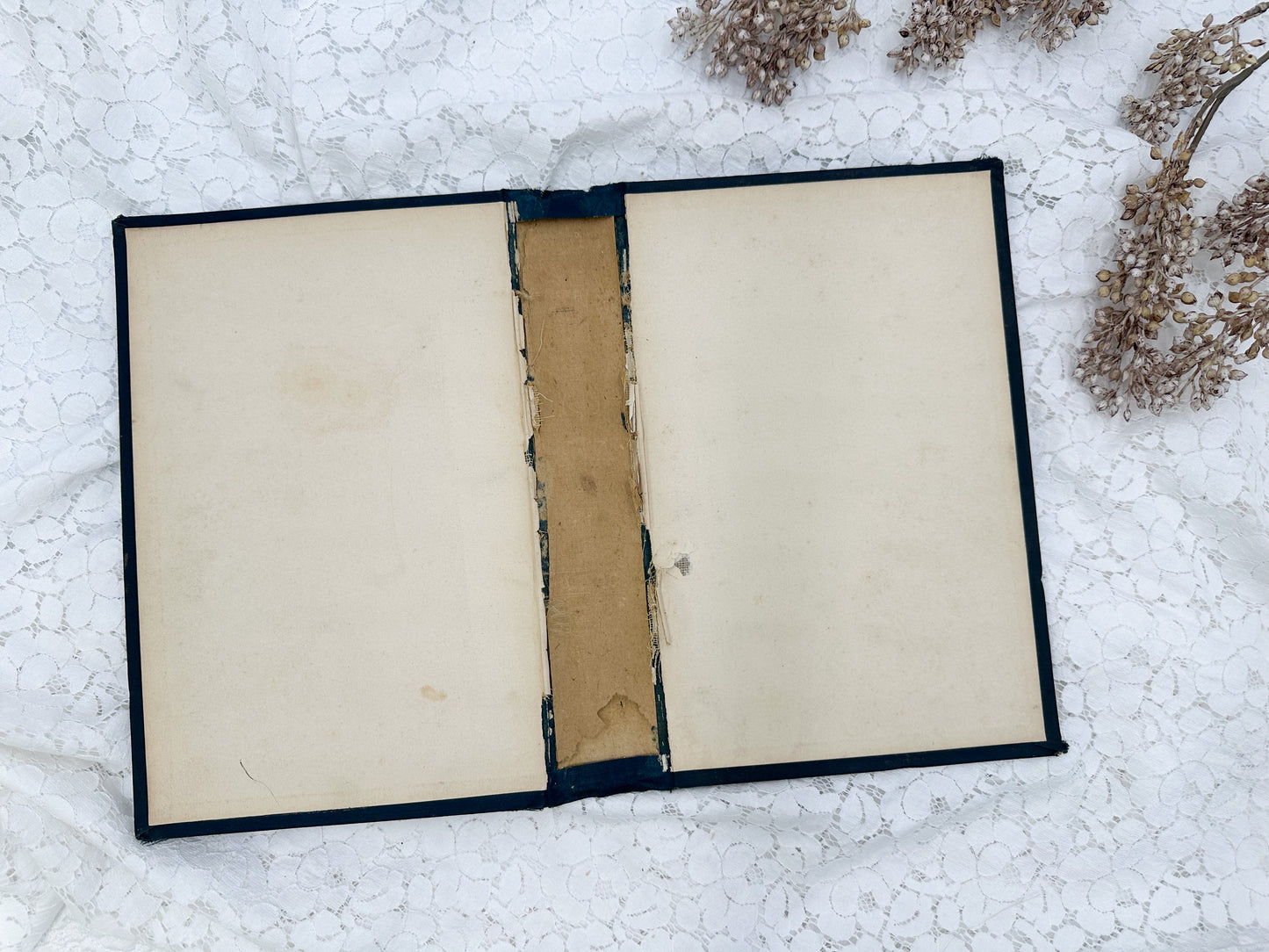 Vintage Book Cover