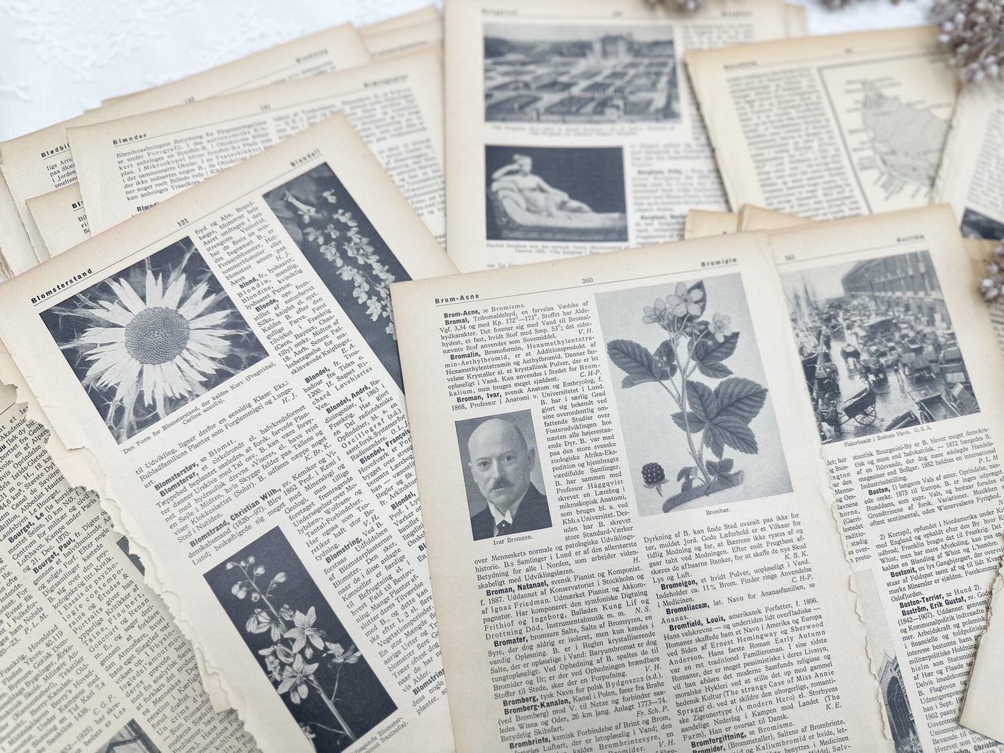 Foreign Language Pictorial Encyclopedia Pack