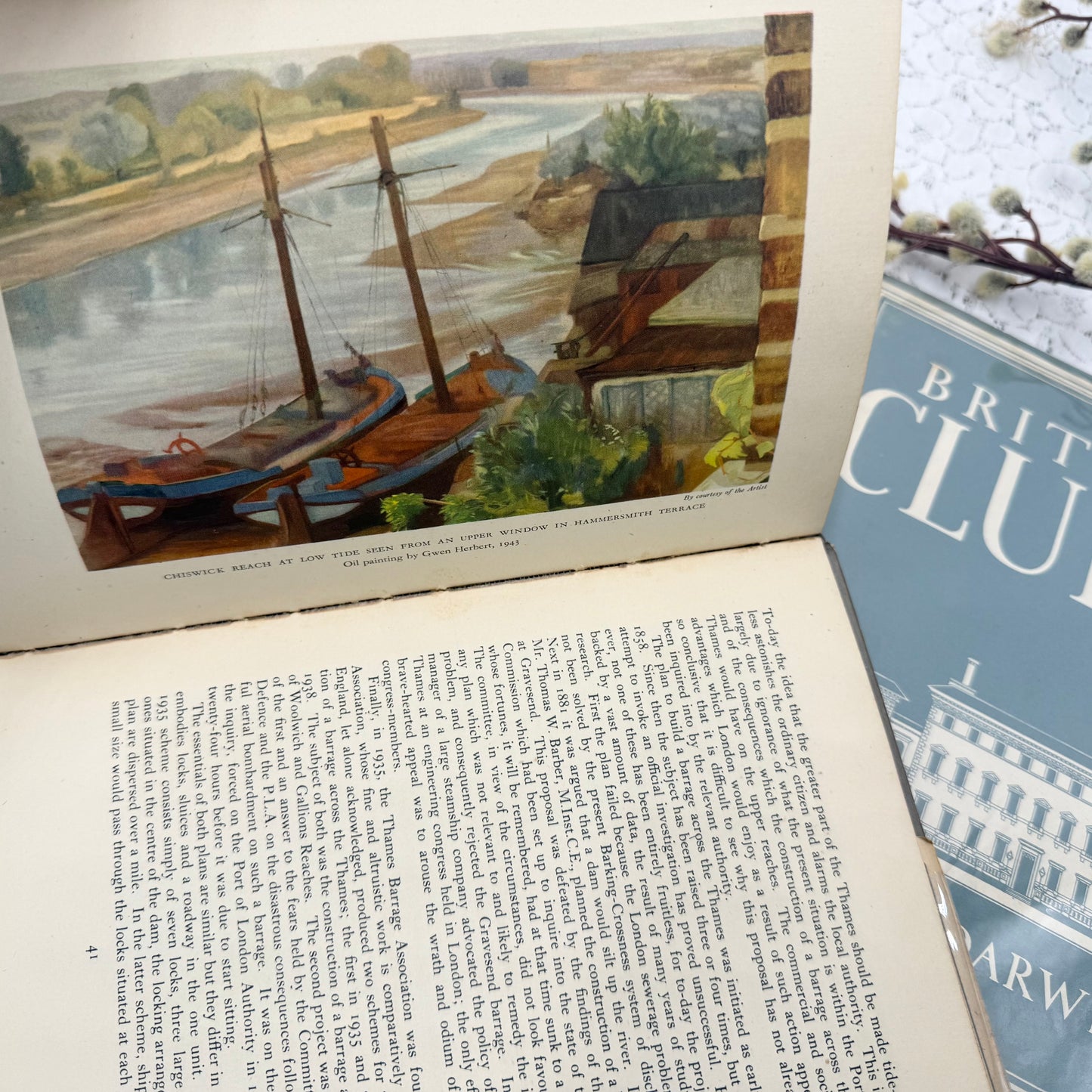Illustrated Book Set