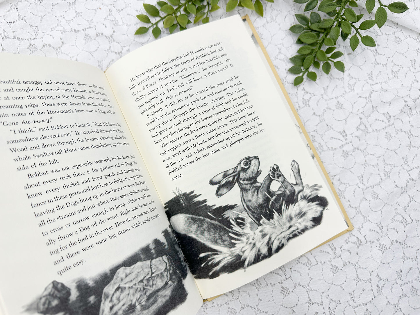 Robbut Book