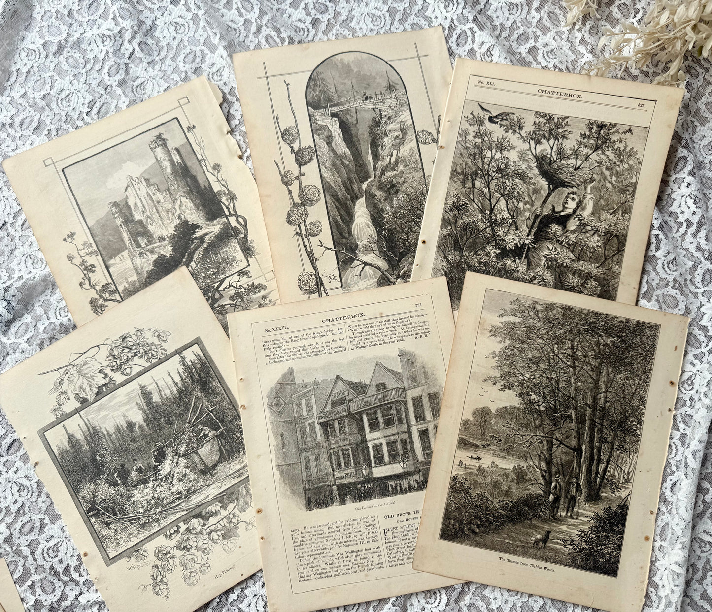 Vintage Chatterbox Illustrations