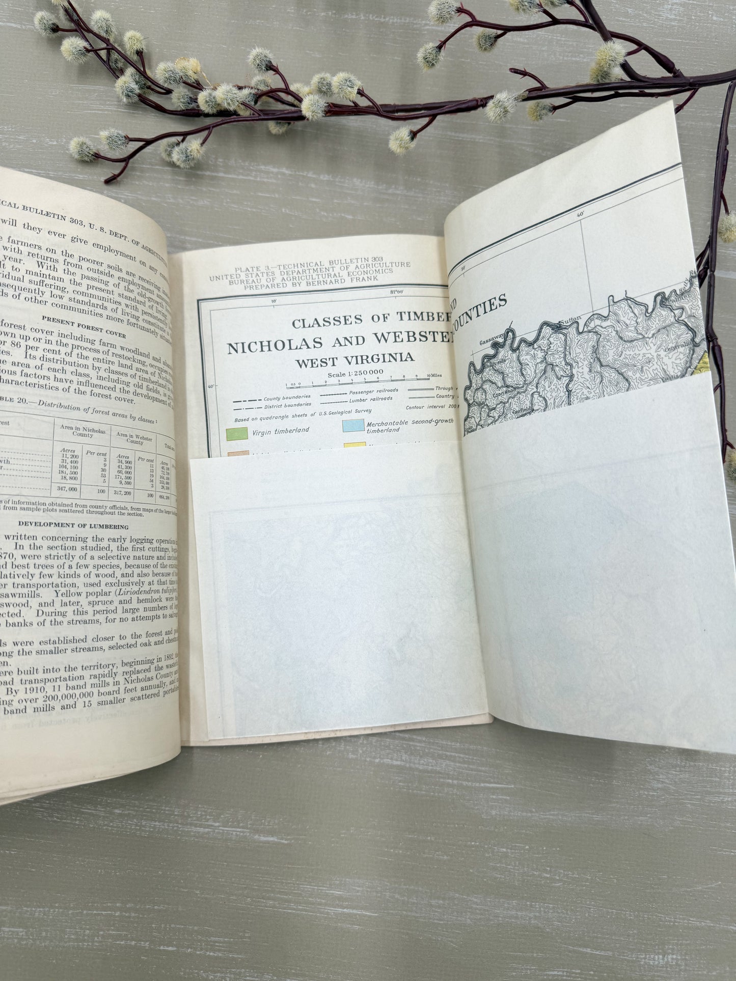 Vintage Book with Fold Out Maps