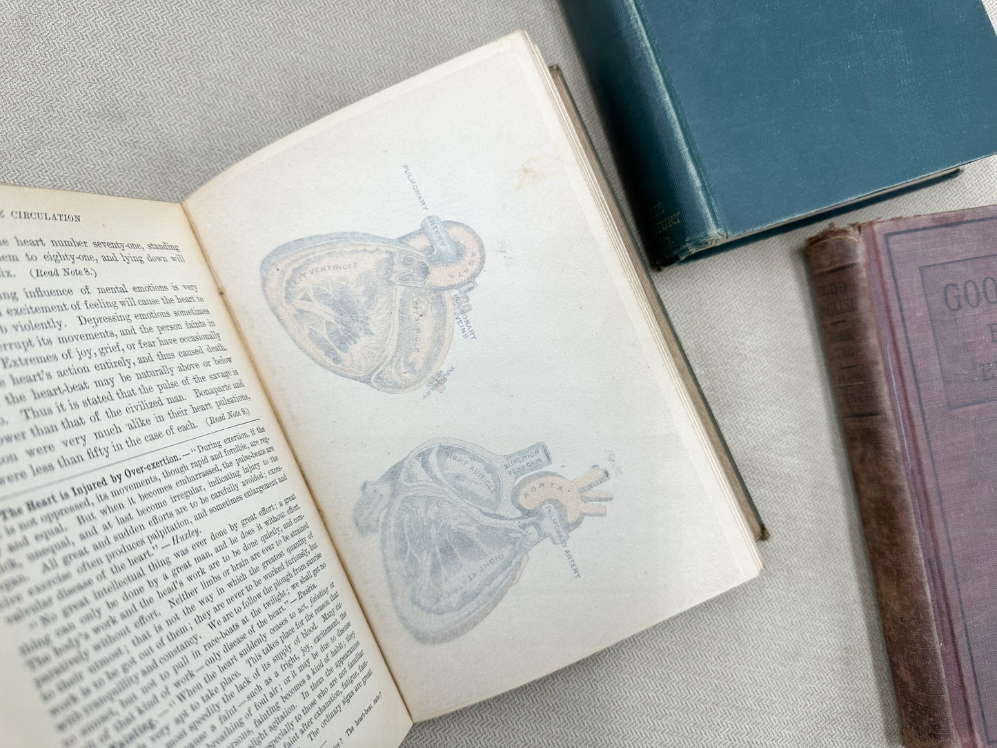 Set of Three Vintage Textbooks