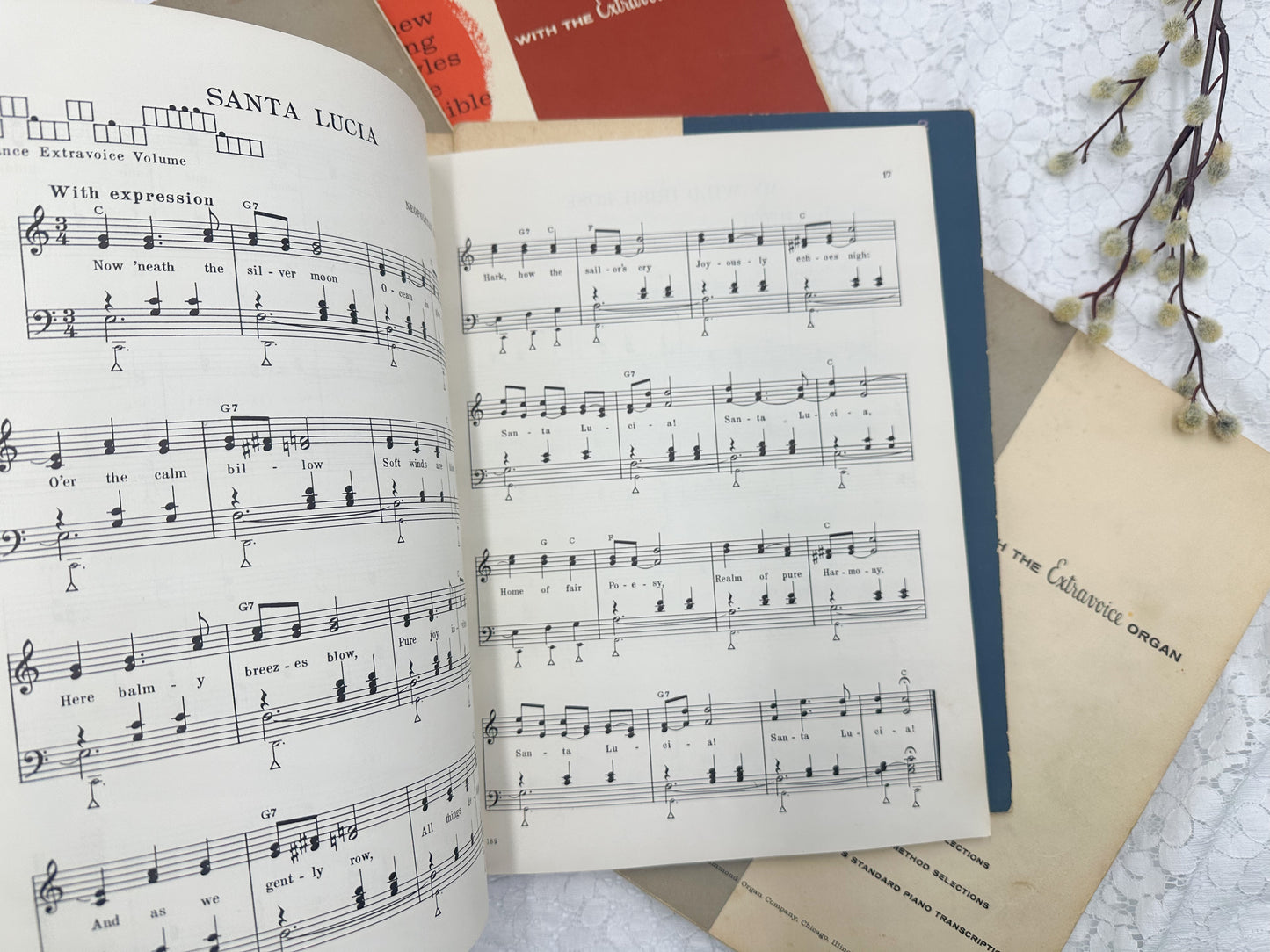 Vintage Music Book Collection