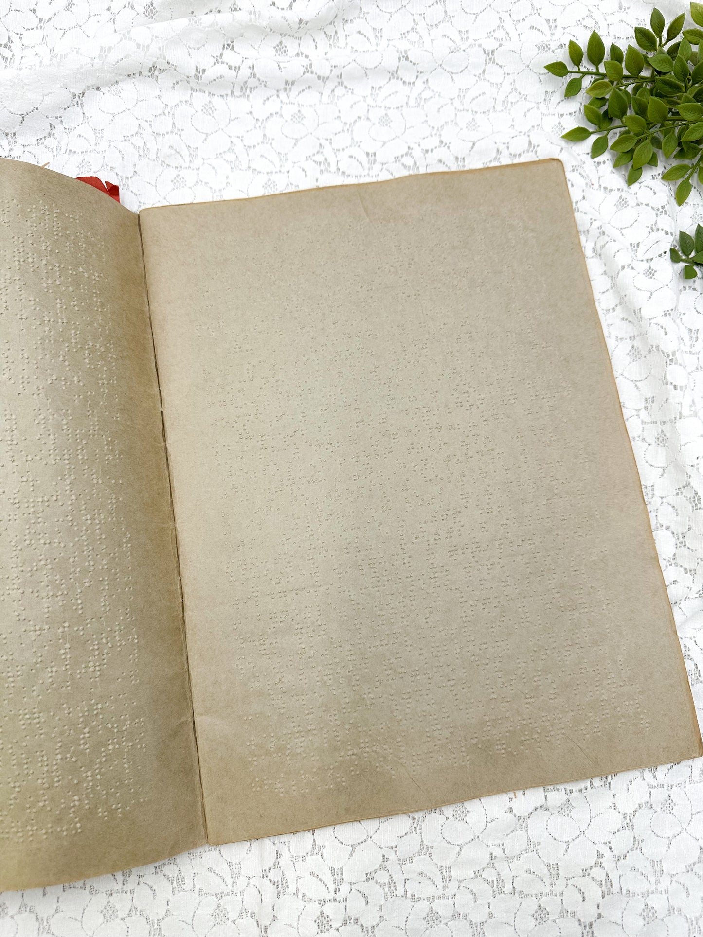 Braille Book