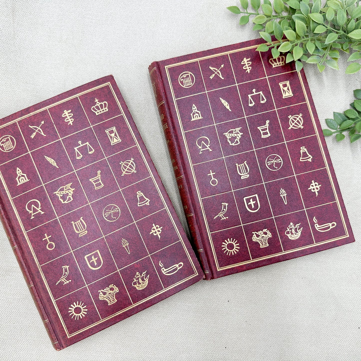 Full Color Encyclopedia
