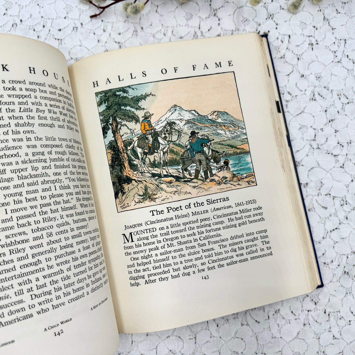 Vintage Bookhouse with Illustrations