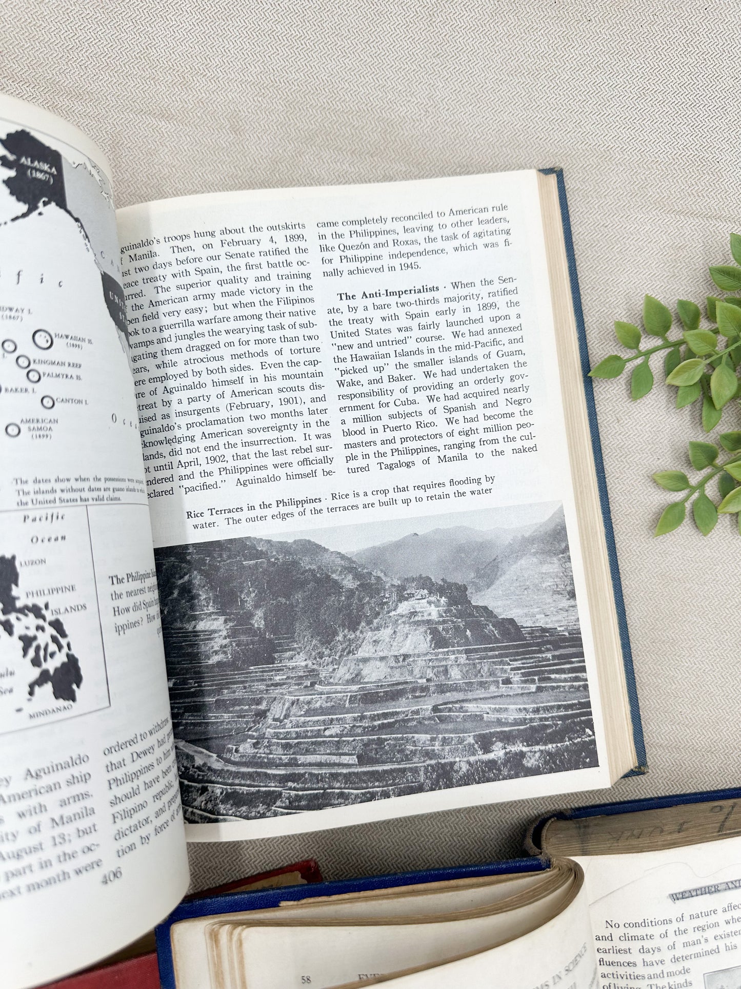 Set of Vintage School Books
