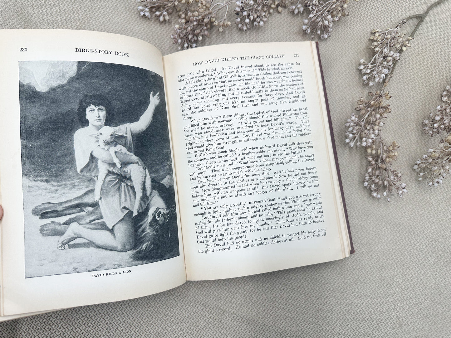 Egermeier's Bible Story Book