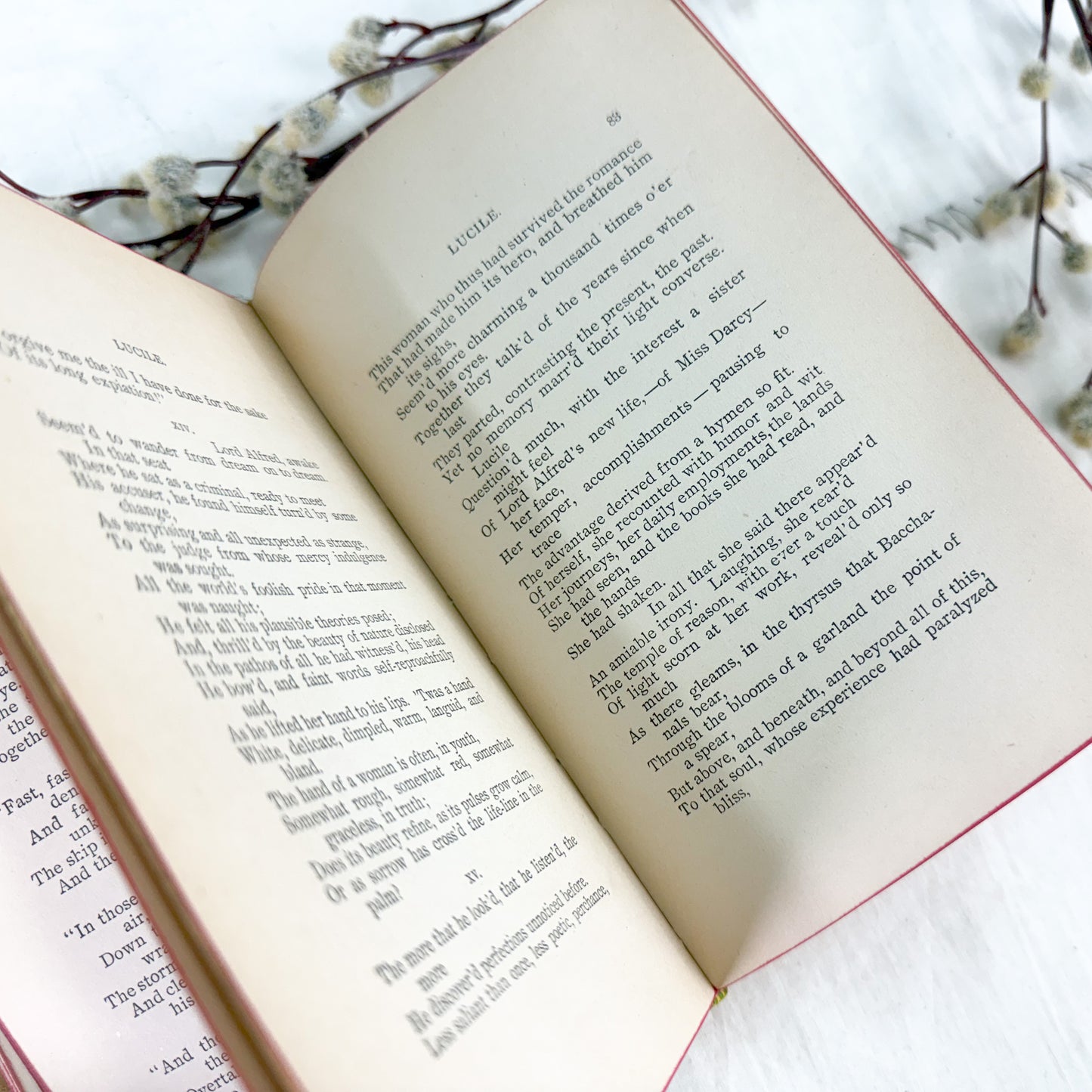 Tattered Lucile Book