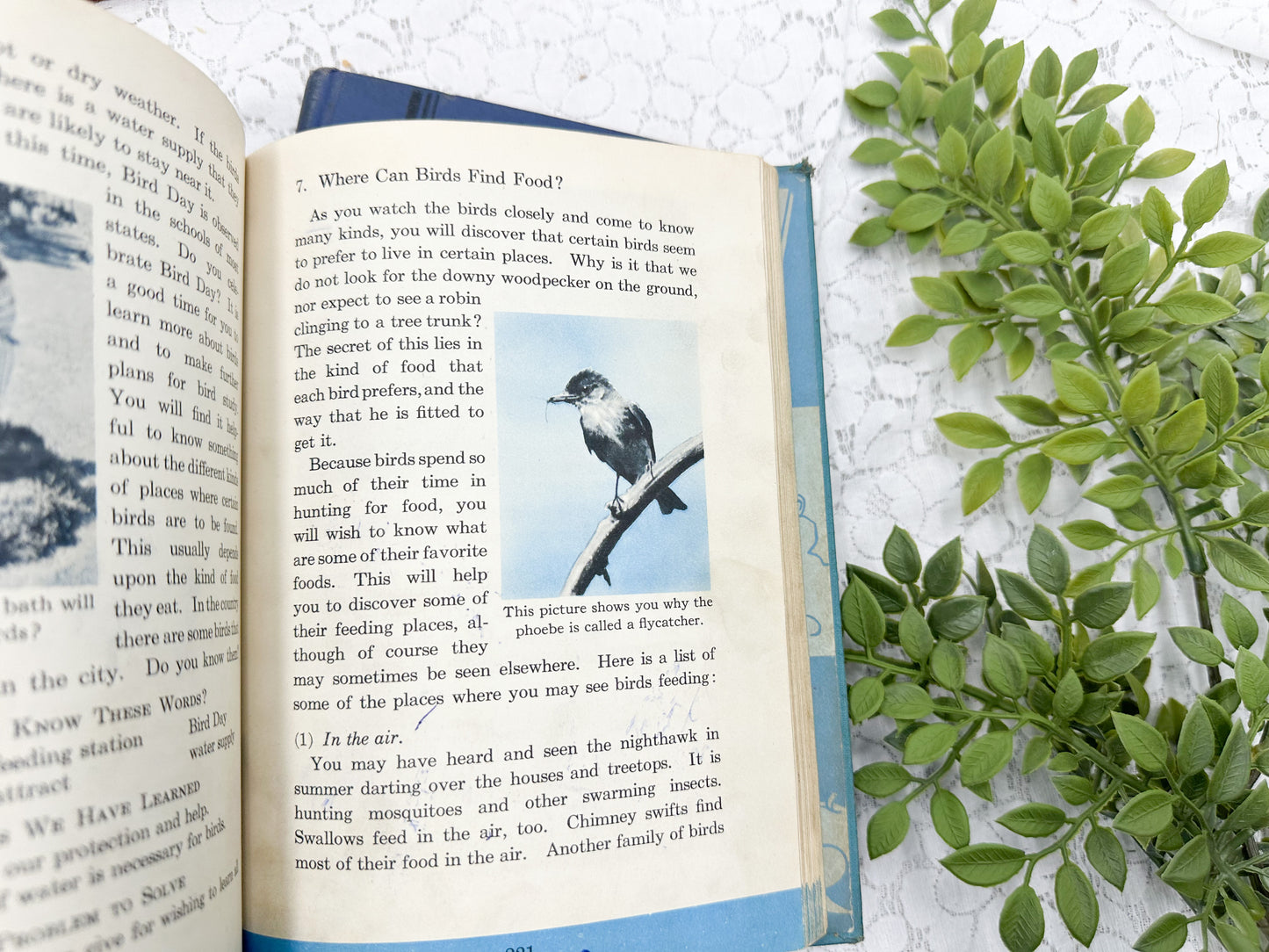 Vintage Textbooks (Set of 4)