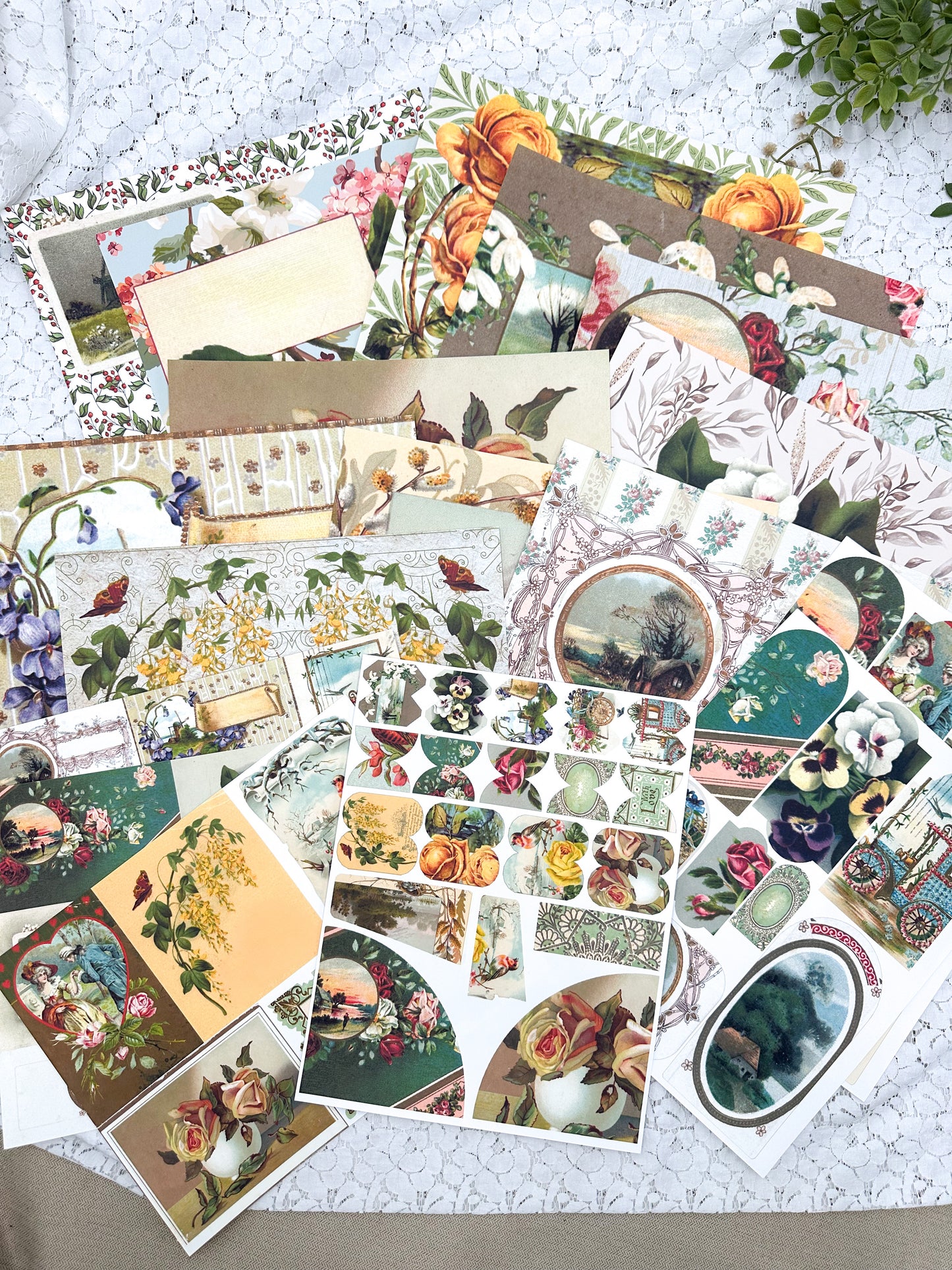 Postcard Two- Paper Packs