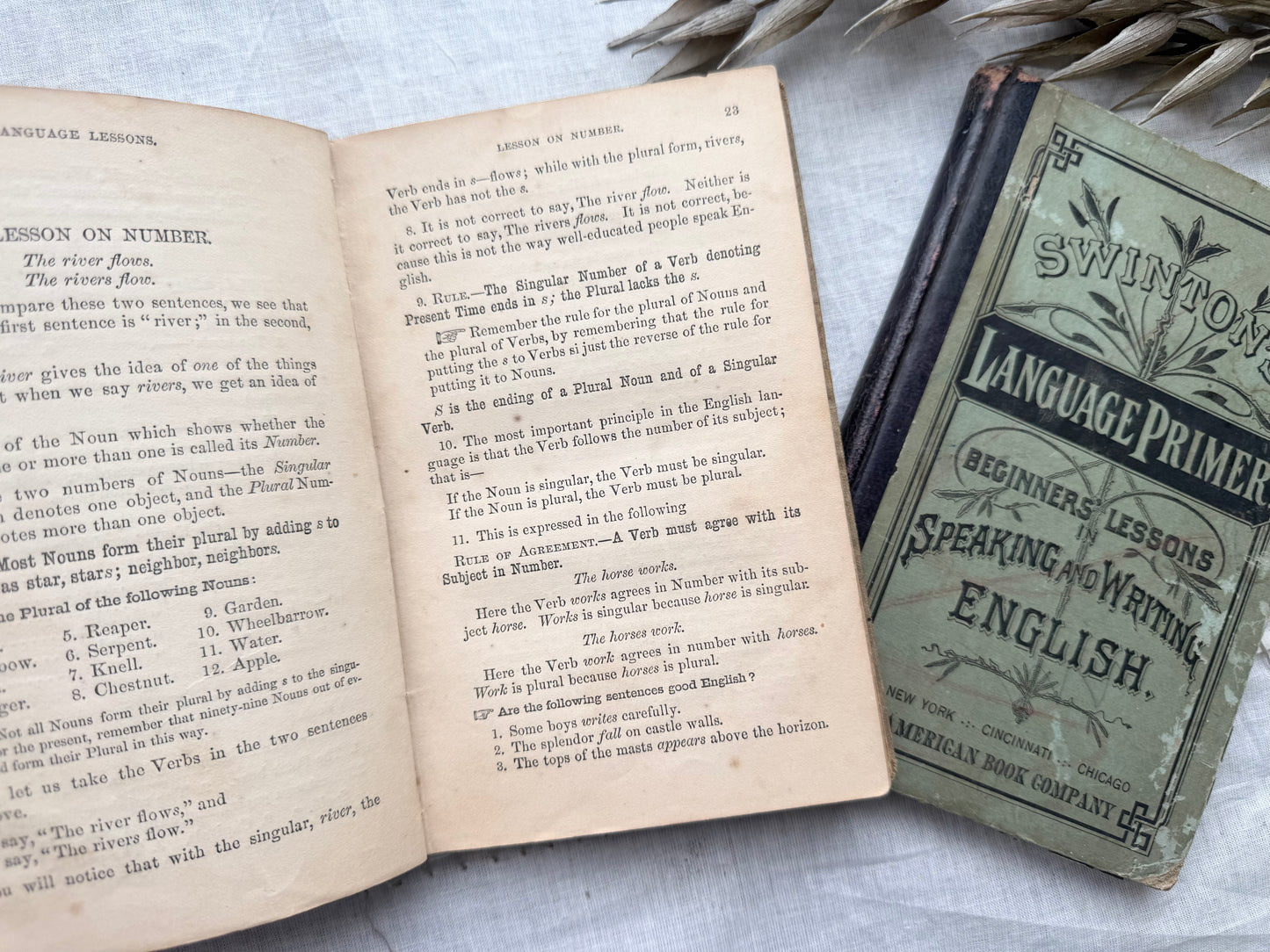 Vintage Textbooks