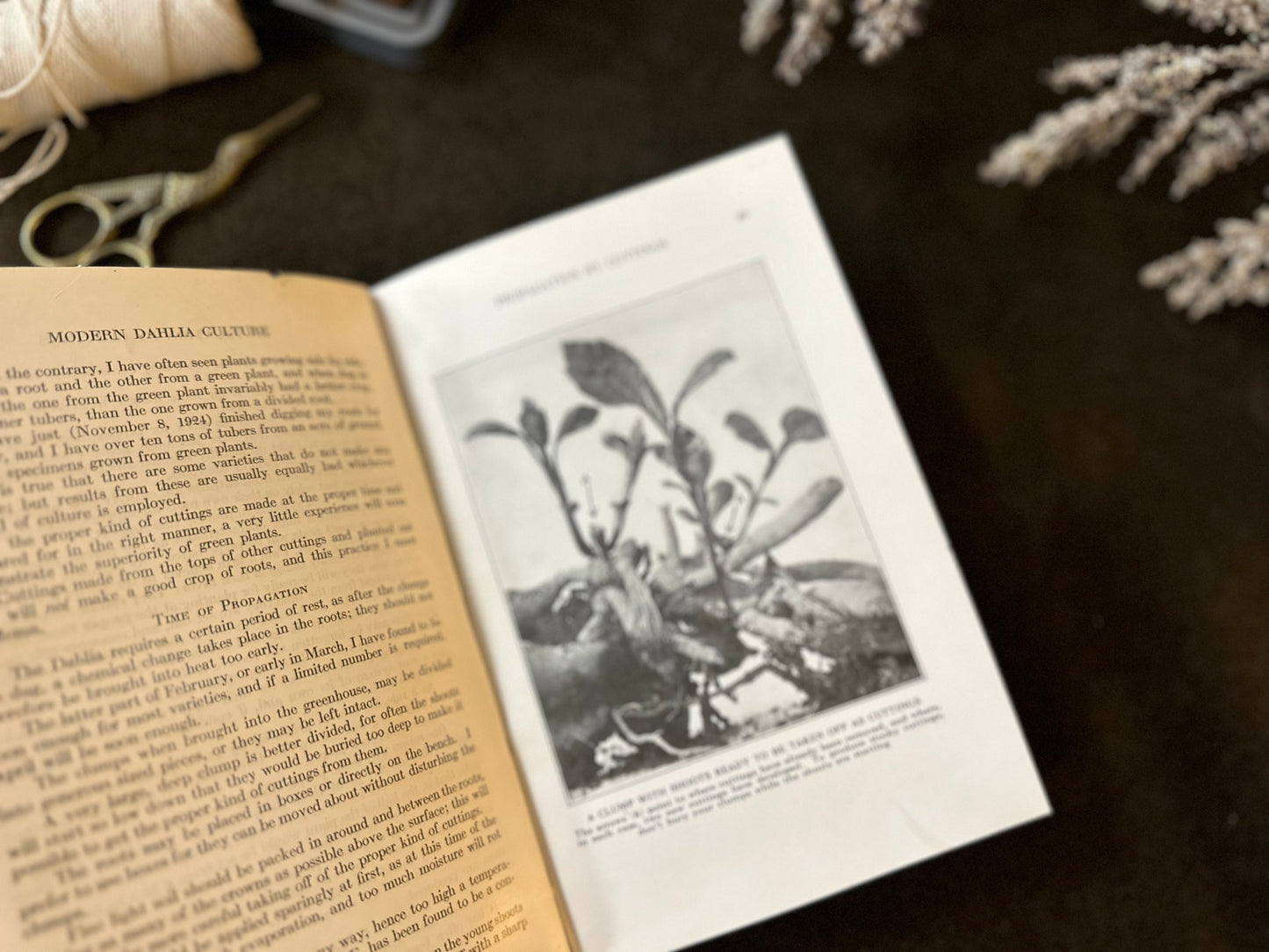Beautiful Vintage Book