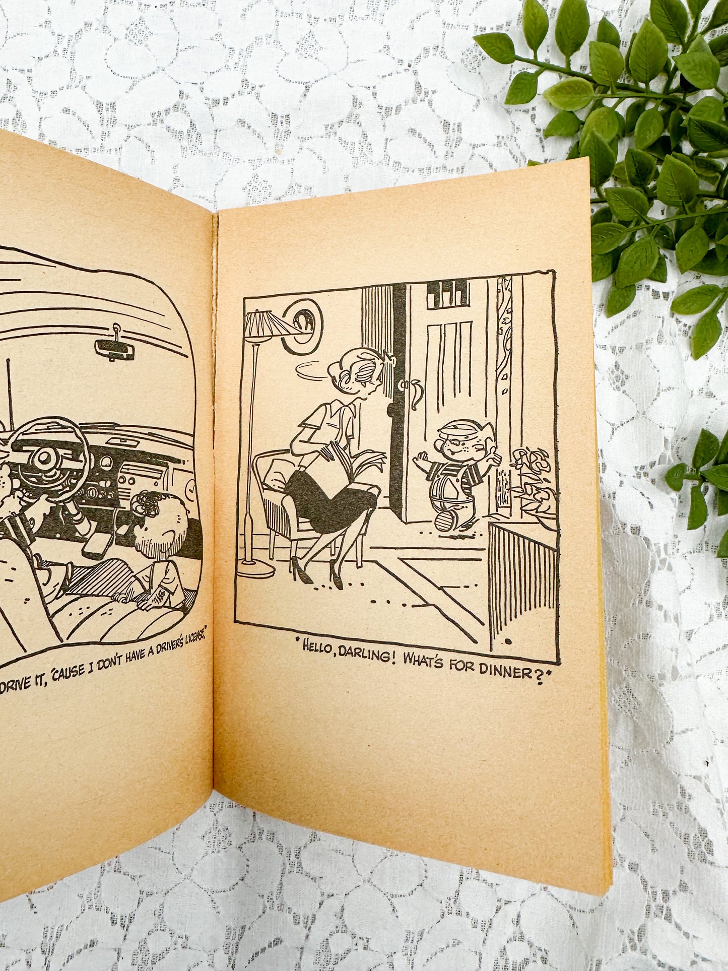 Dennis the Menace Set (Two Books)