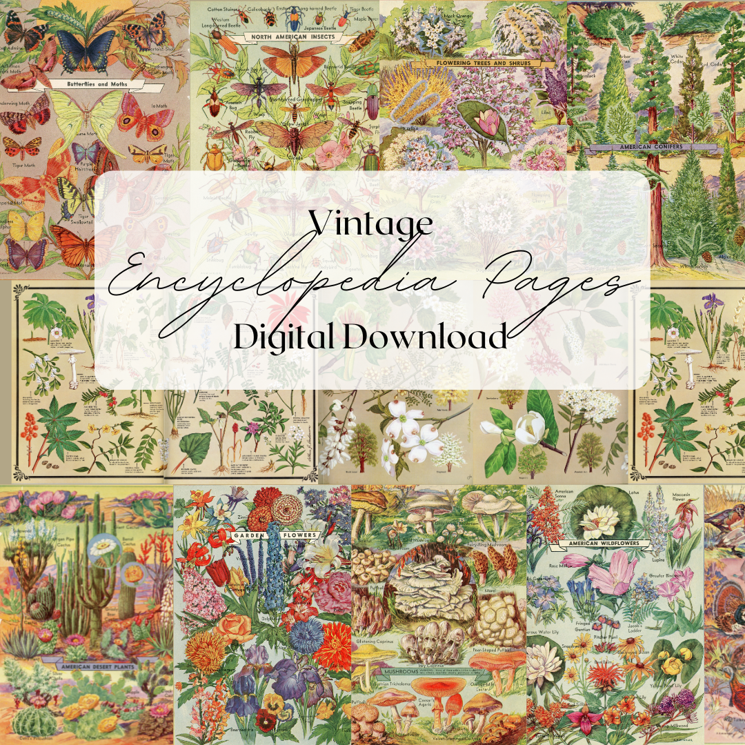 Encyclopedia Pages- Digital Download